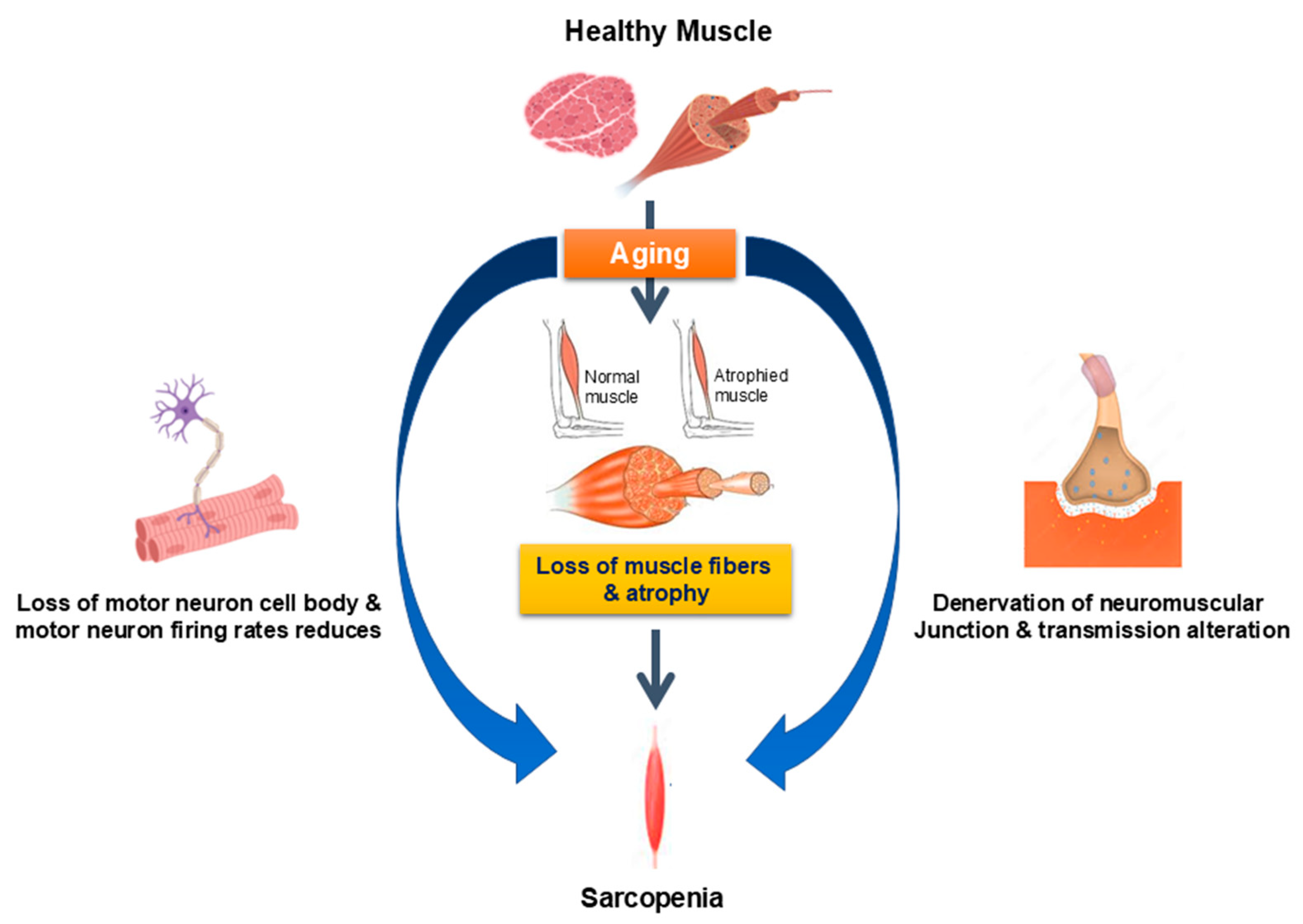 Pharmaceuticals 18 01407 g001 Pharmaceuticals 18 01407 g001