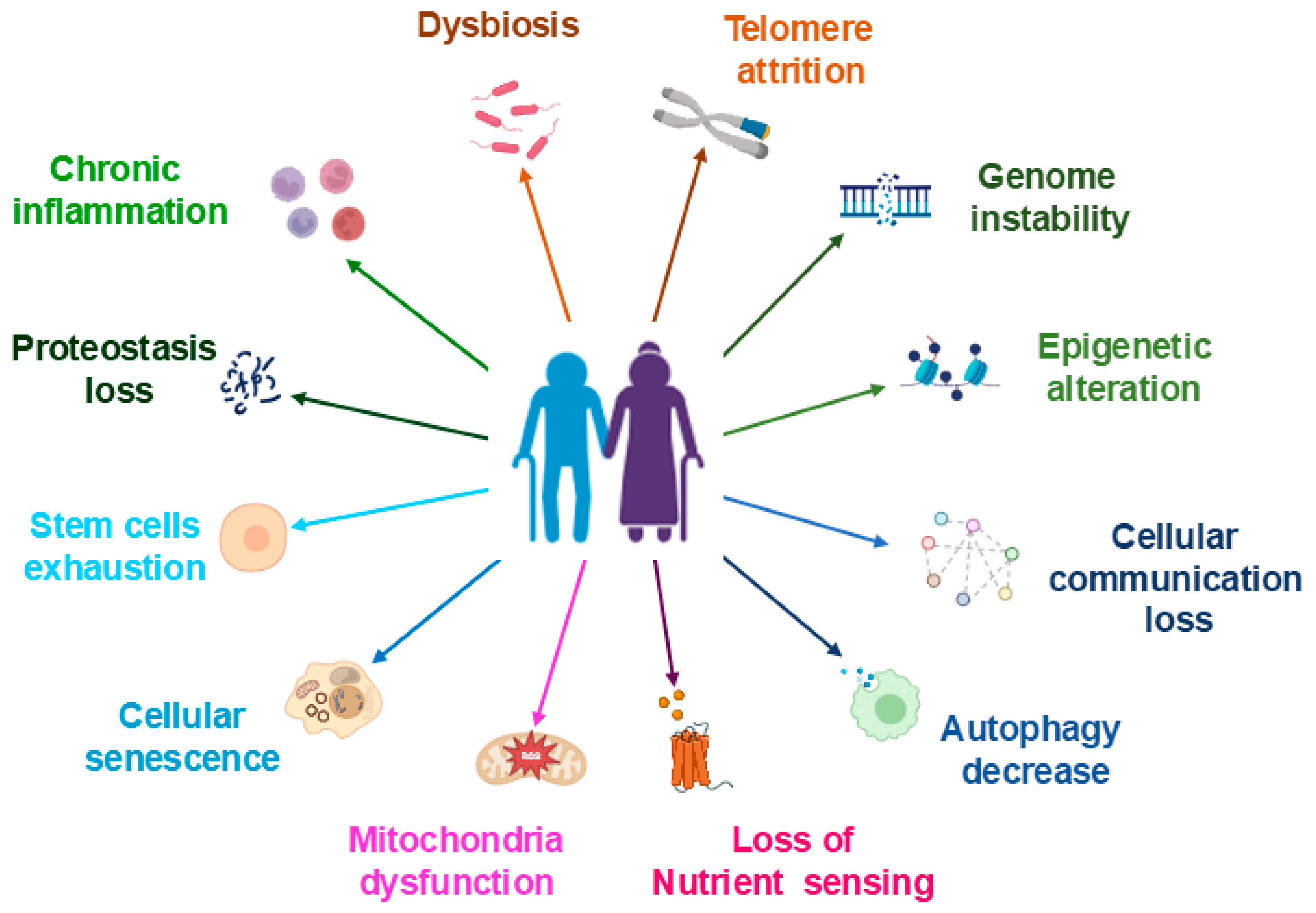 Pharmaceuticals 18 01407 g002 Pharmaceuticals 18 01407 g002