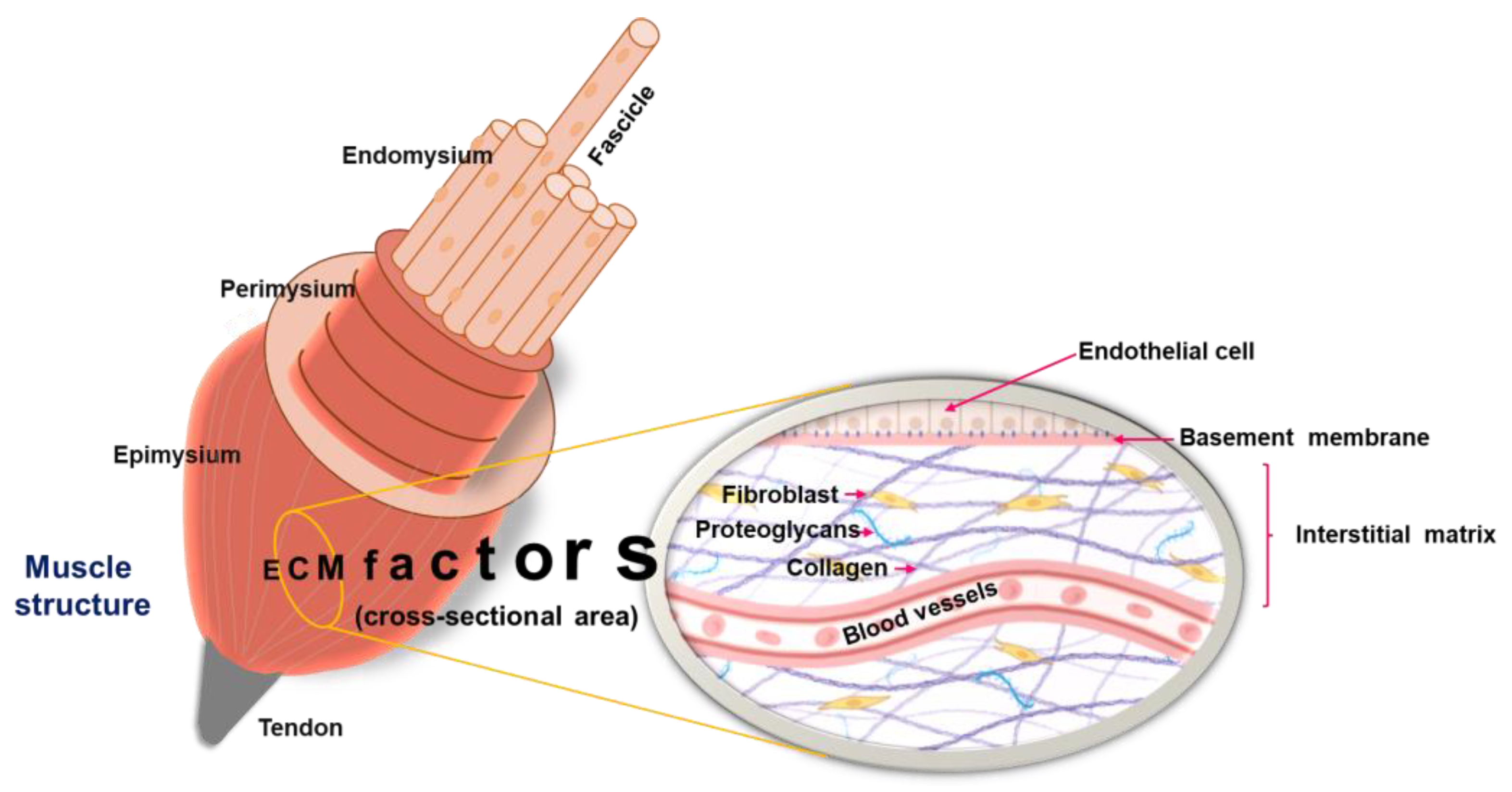 Pharmaceuticals 18 01407 g003 Pharmaceuticals 18 01407 g003