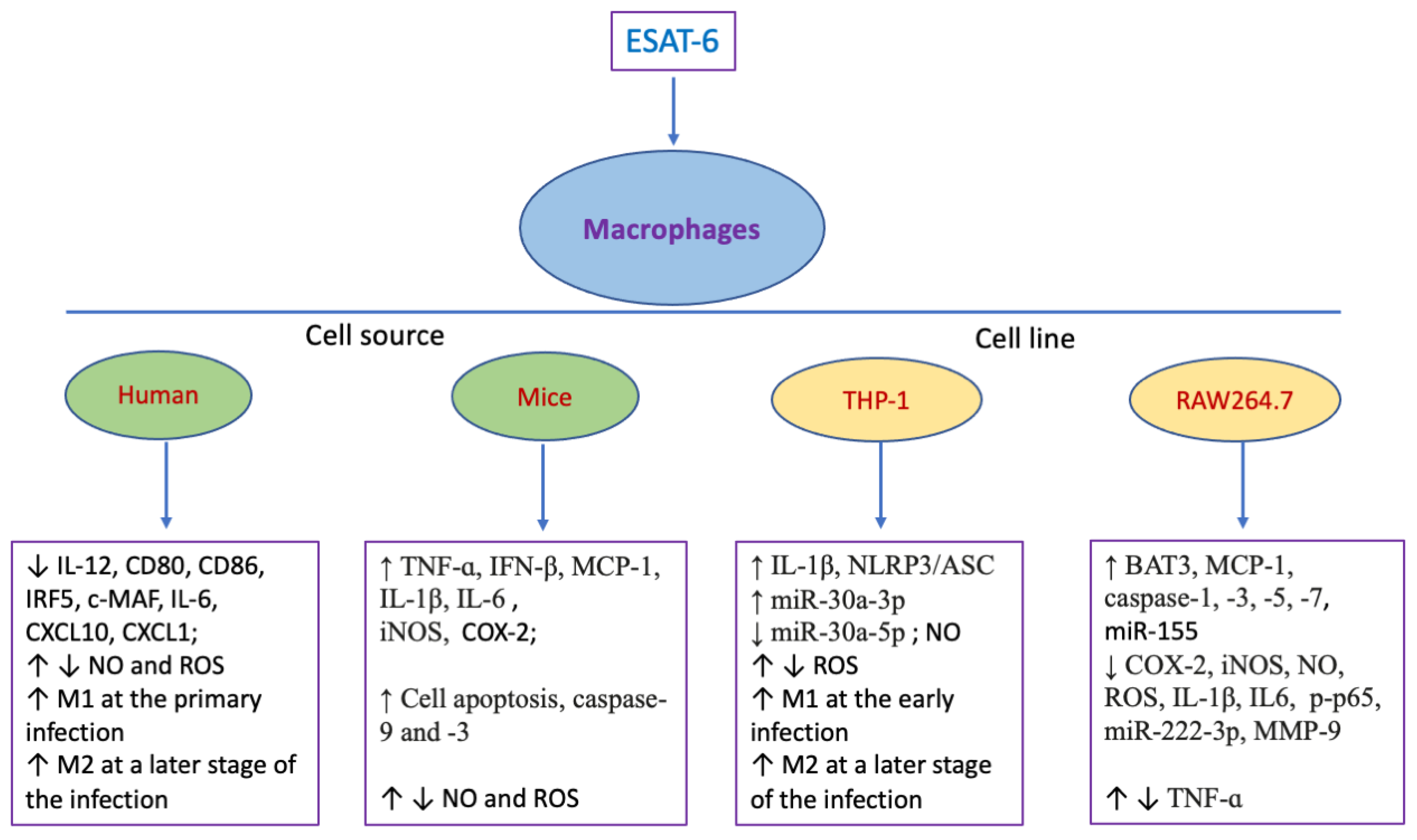 Pharmaceuticals 18 01408 g001