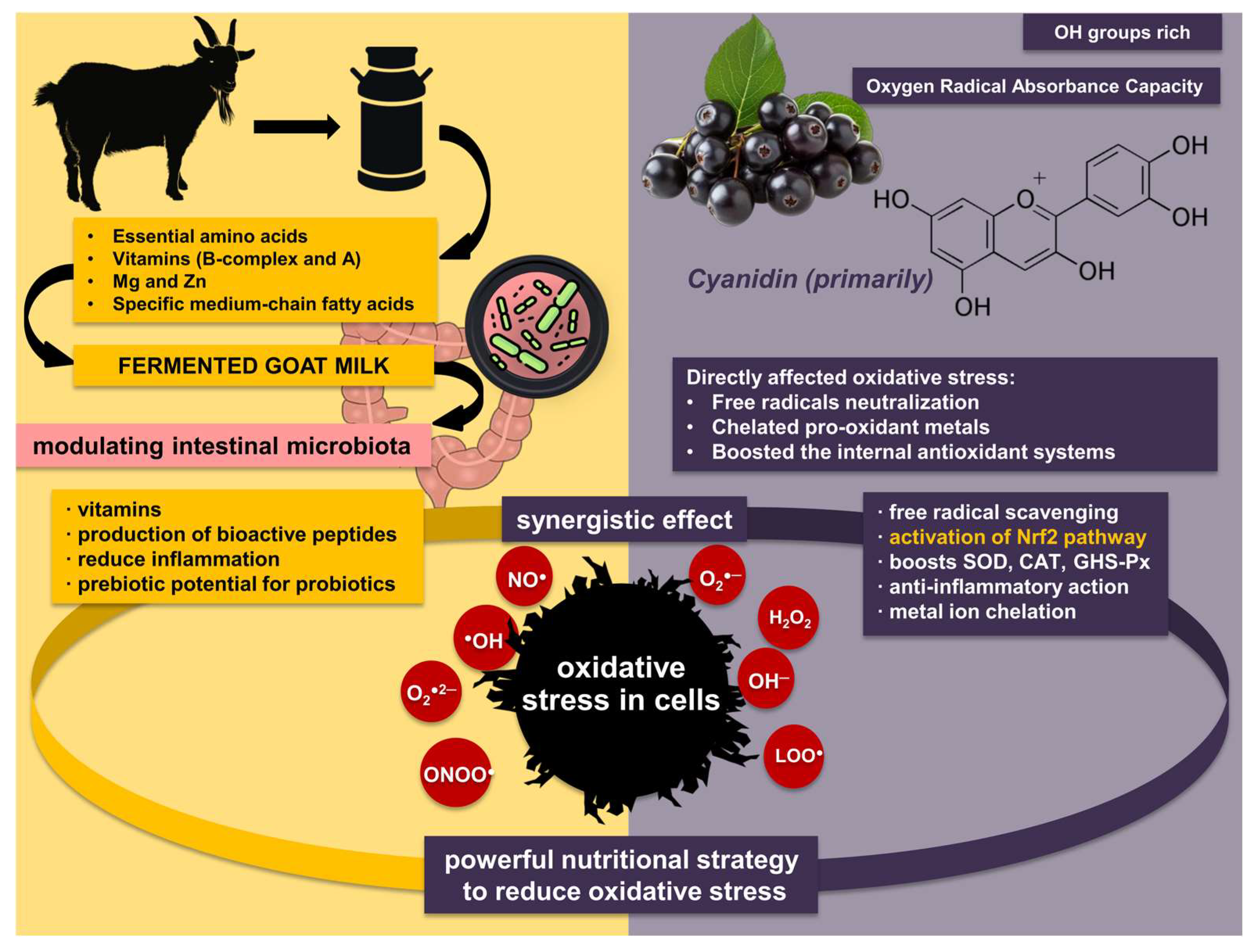 Pharmaceuticals 18 01409 sch001 Pharmaceuticals 18 01409 sch001
