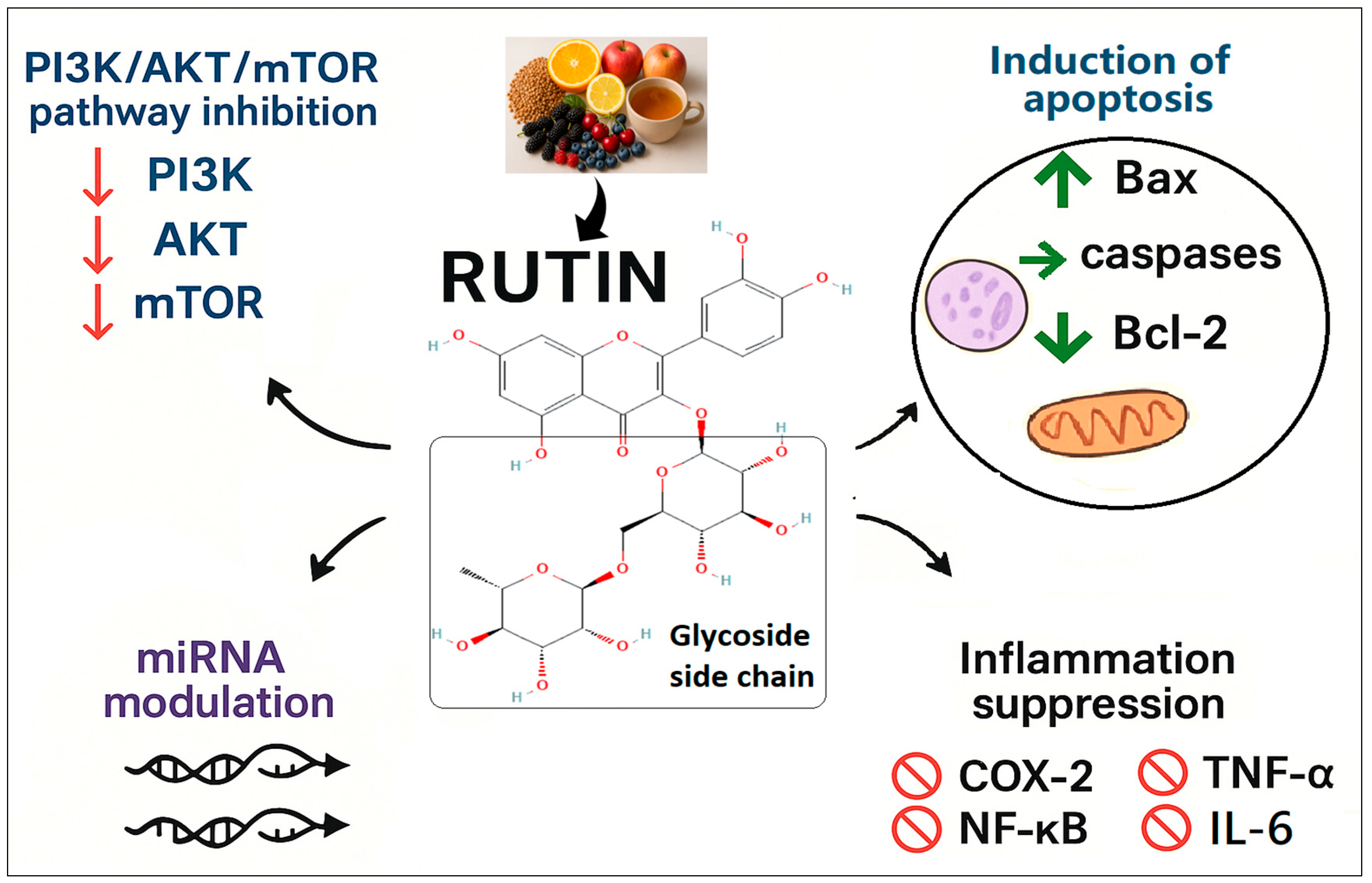 Pharmaceuticals 18 01410 g001