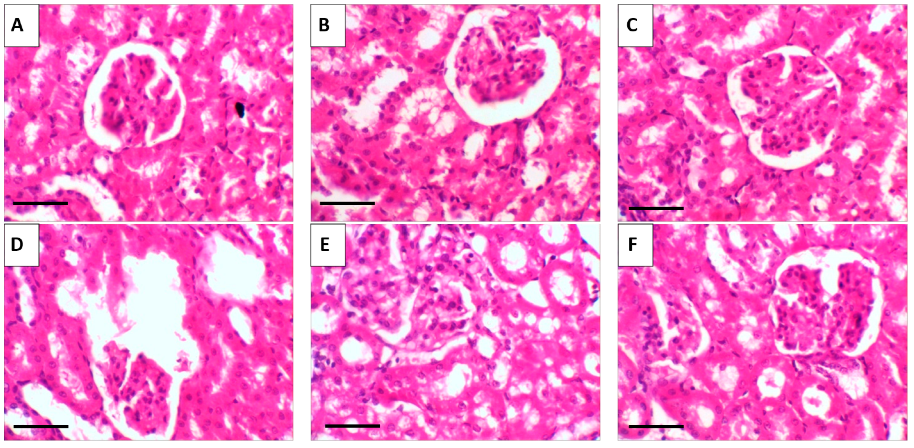 Pharmaceuticals 18 01410 g013