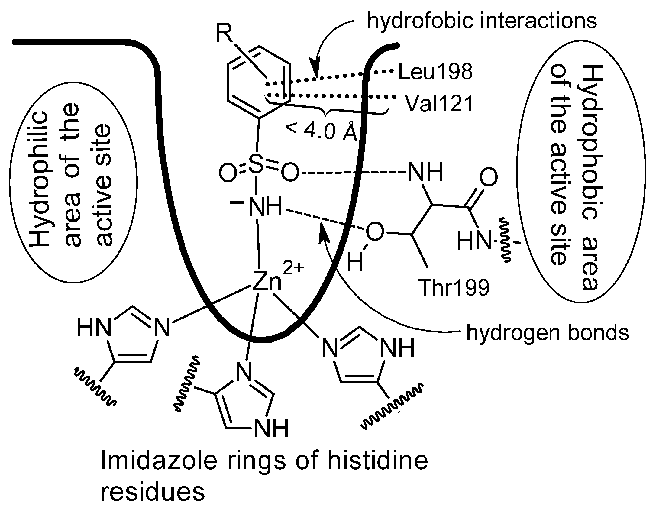 Pharmaceuticals 18 01414 g006