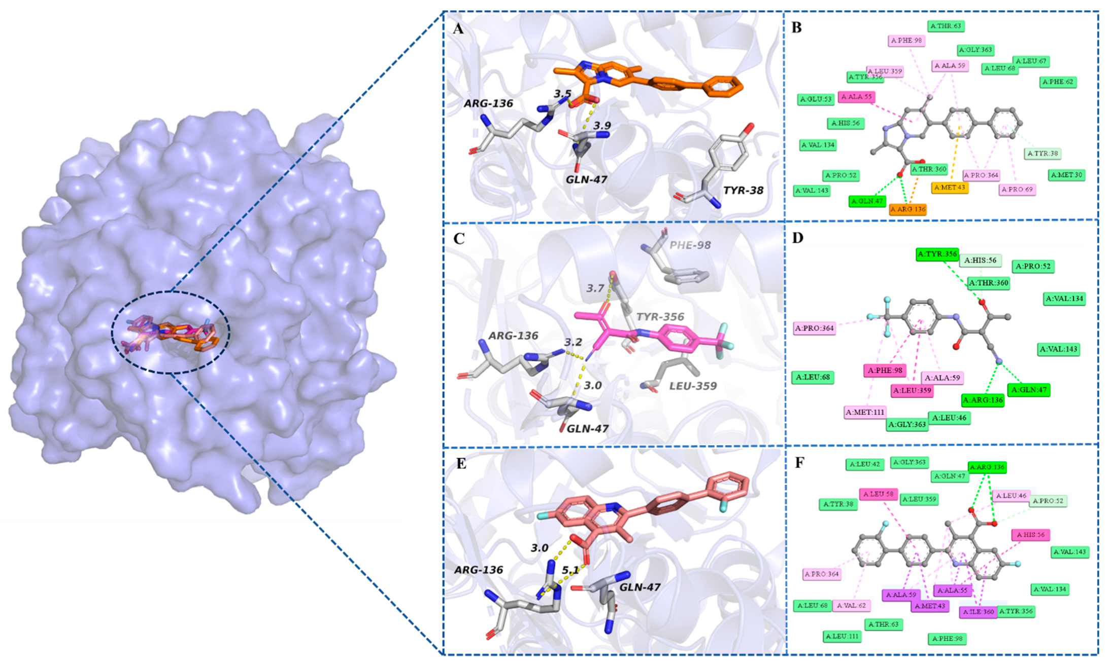 Pharmaceuticals 18 01416 g006