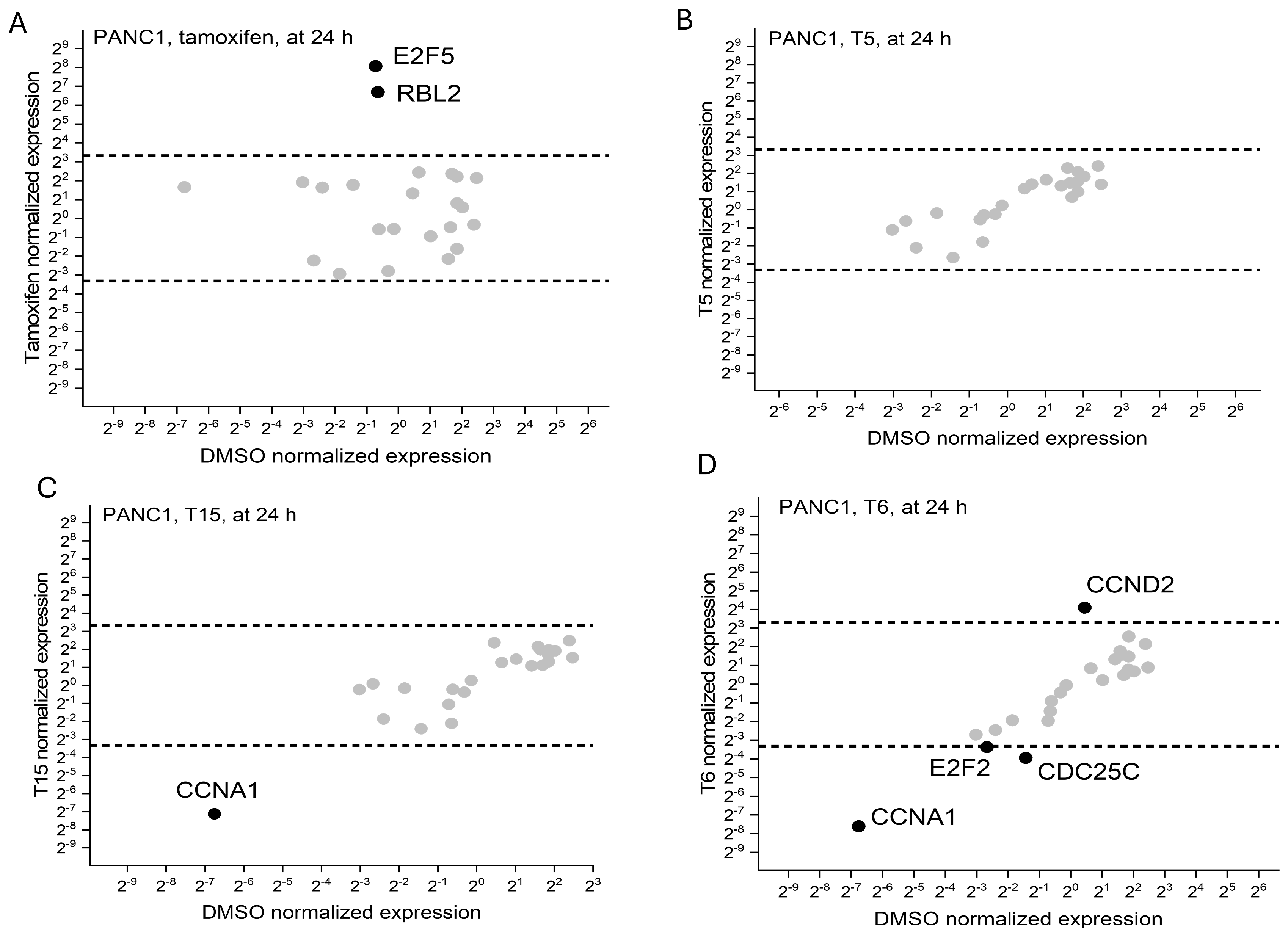 Pharmaceuticals 18 01417 g006 Pharmaceuticals 18 01417 g006
