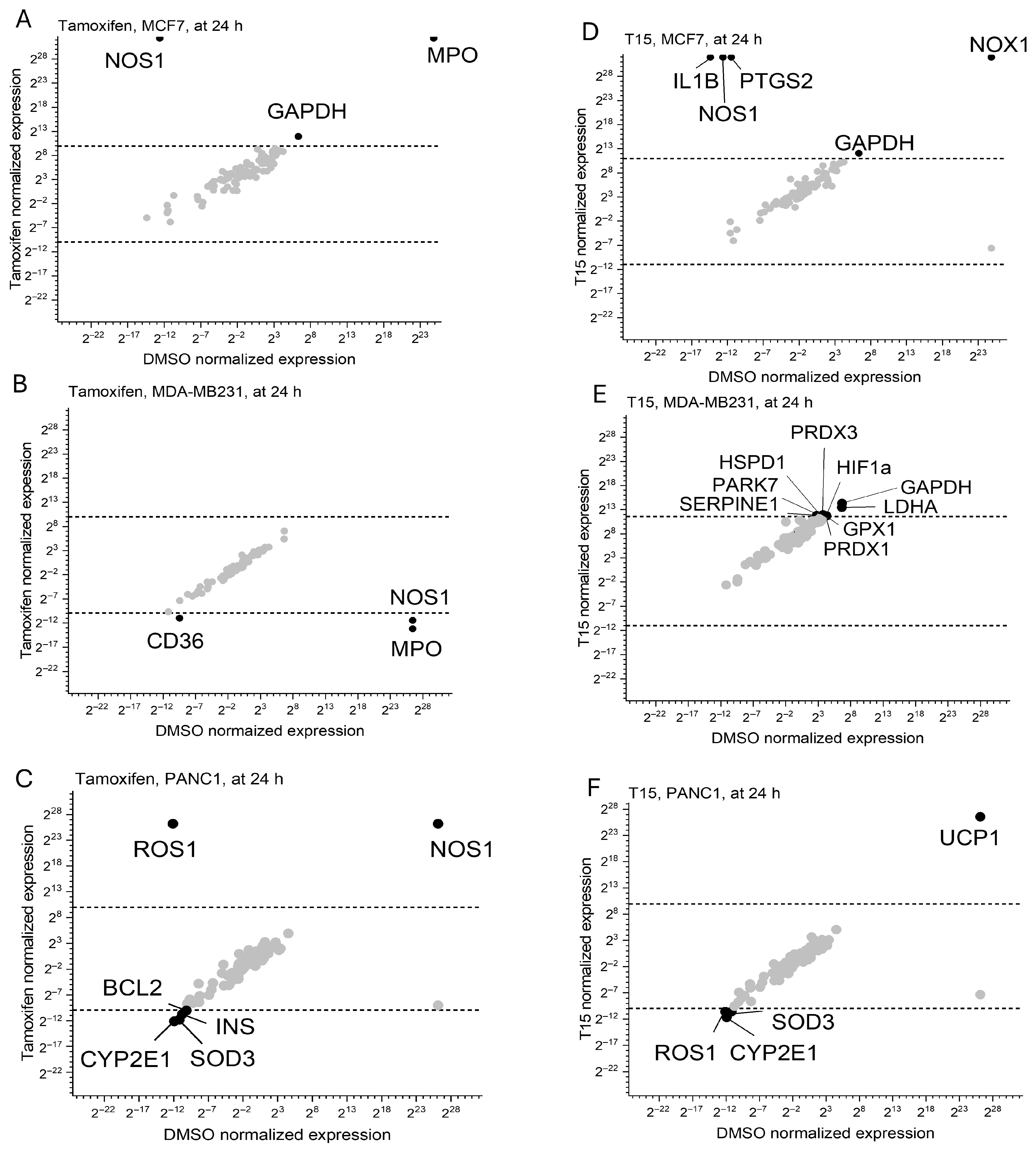 Pharmaceuticals 18 01417 g007 Pharmaceuticals 18 01417 g007