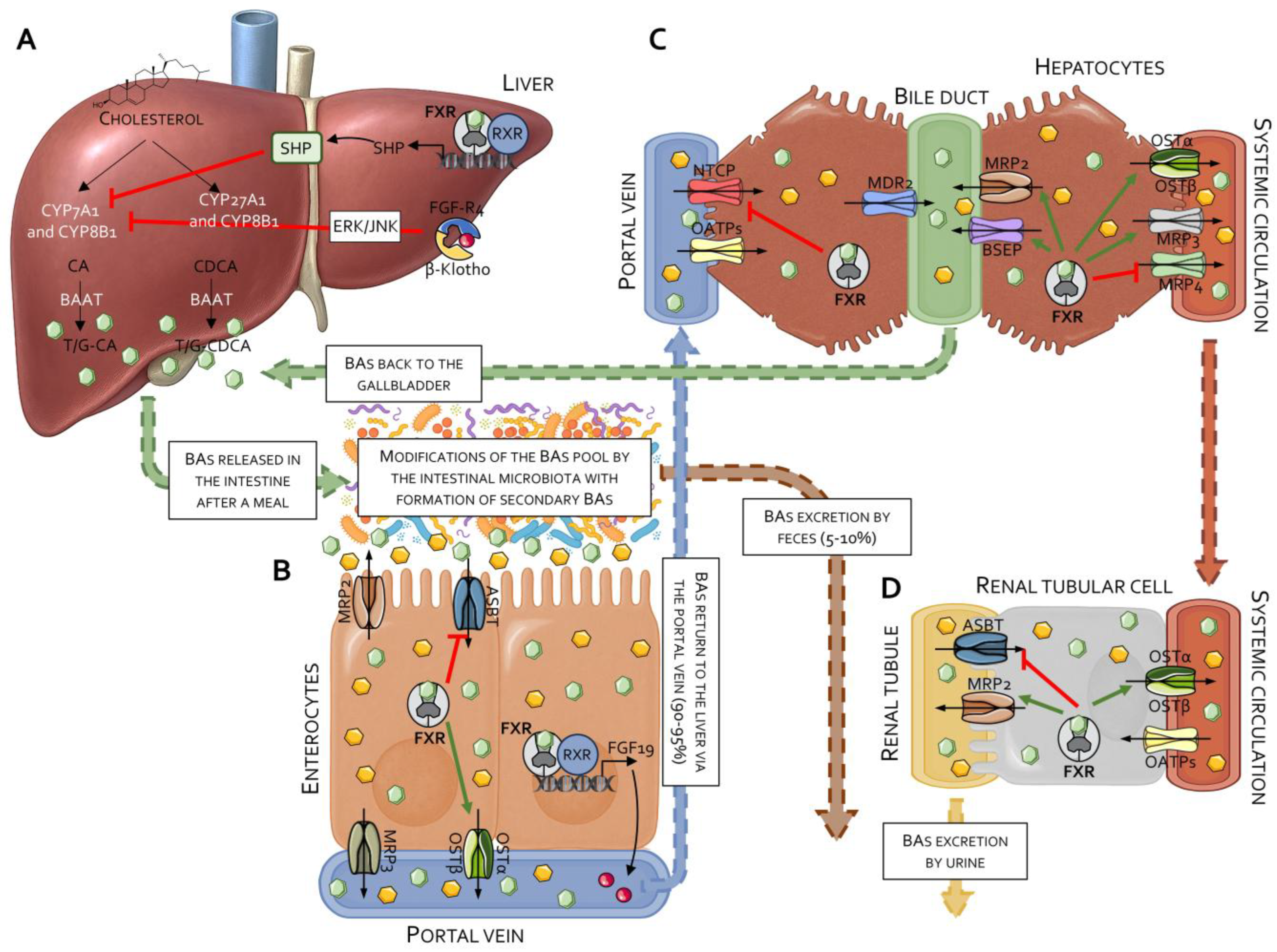 Pharmaceuticals 18 01424 g001 Pharmaceuticals 18 01424 g001