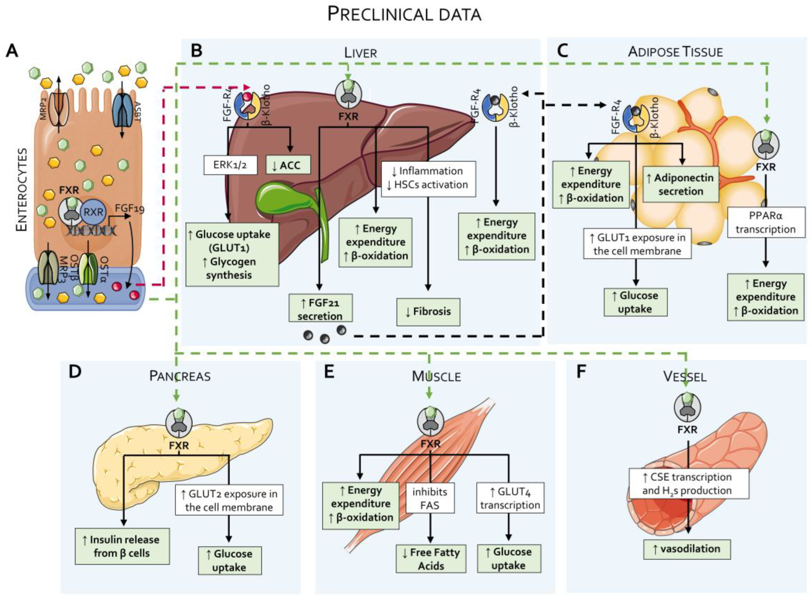 Pharmaceuticals 18 01424 g004 Pharmaceuticals 18 01424 g004