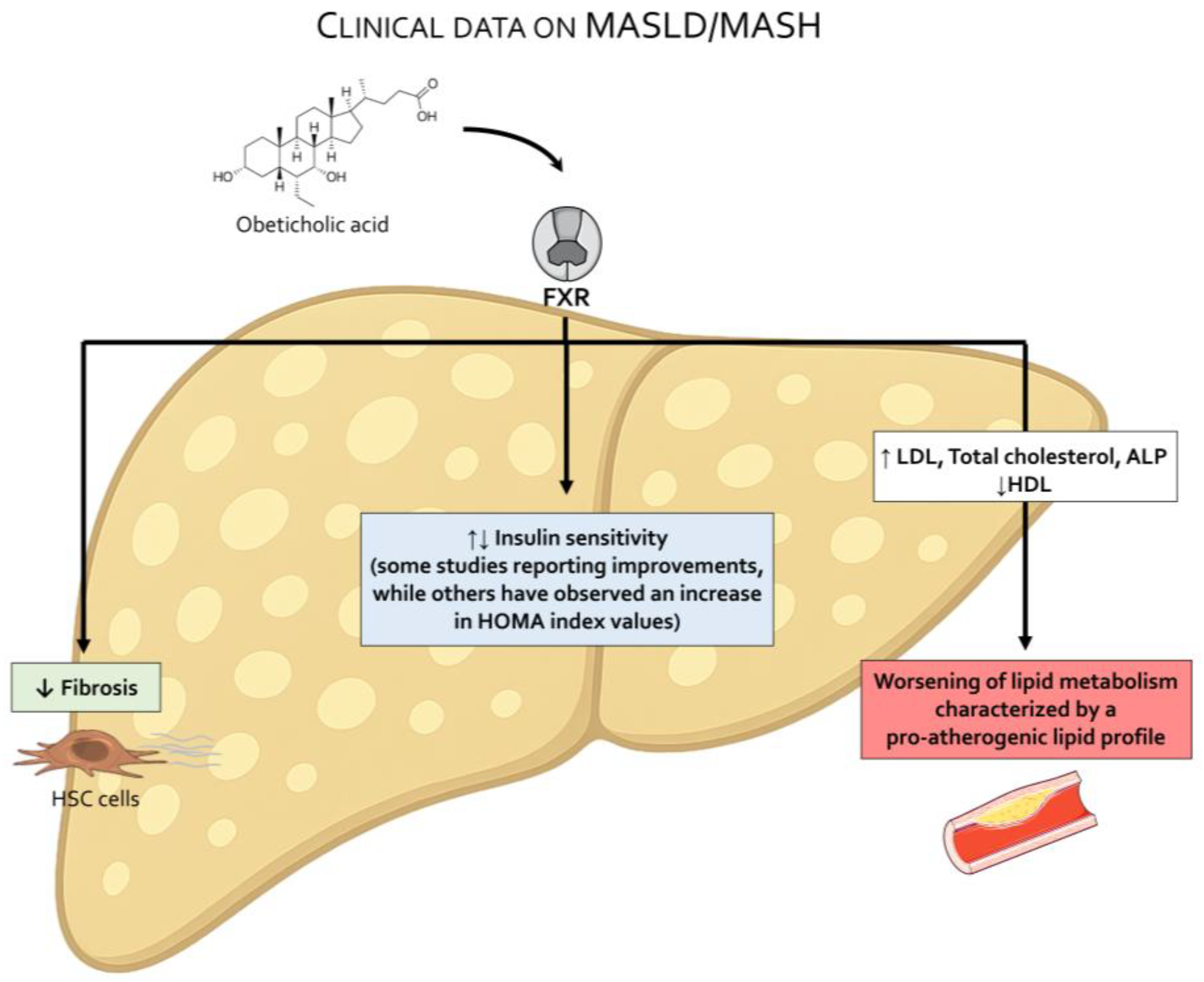 Pharmaceuticals 18 01424 g005 Pharmaceuticals 18 01424 g005