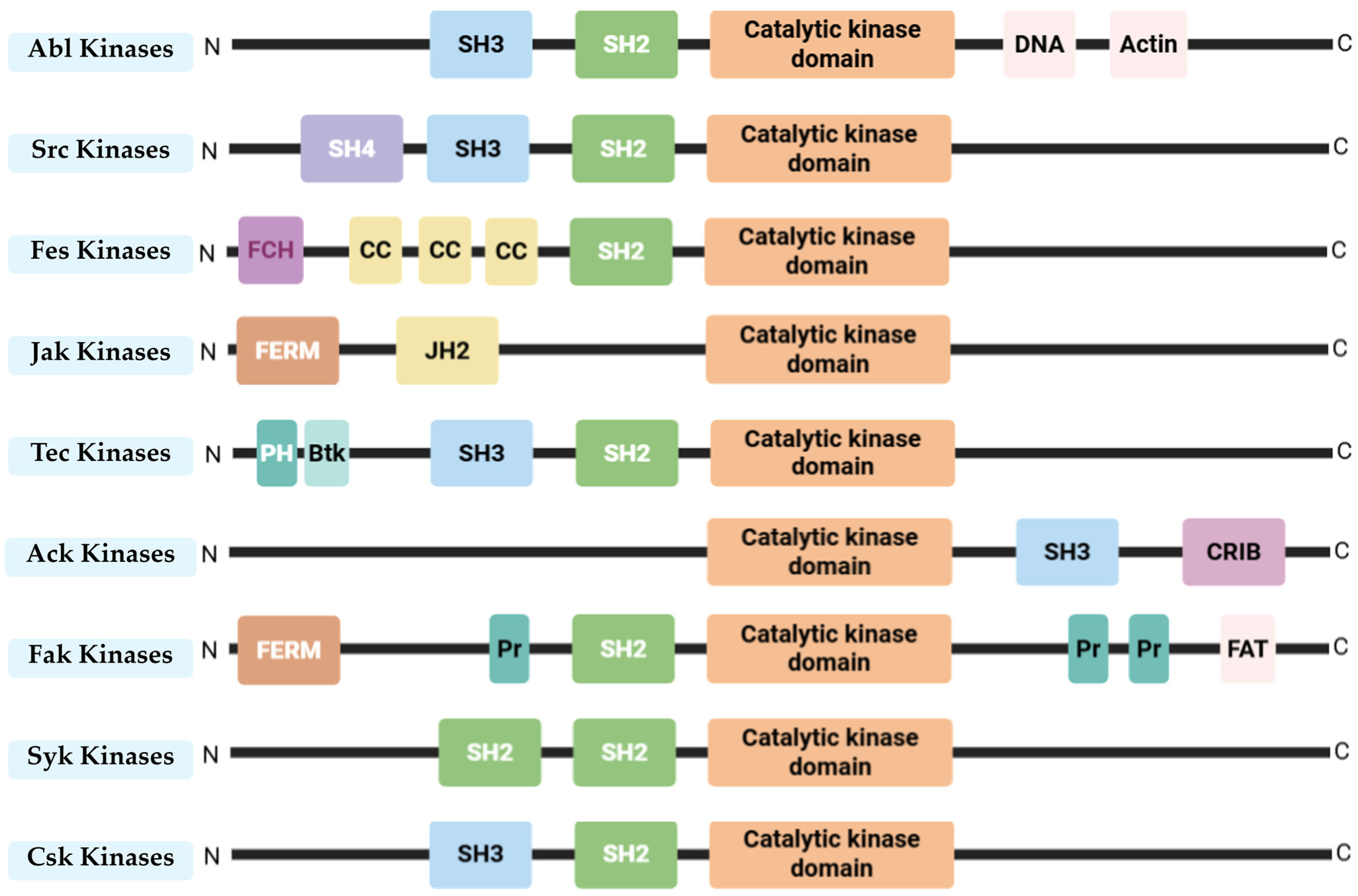 Pharmaceuticals 18 01426 g002 Pharmaceuticals 18 01426 g002