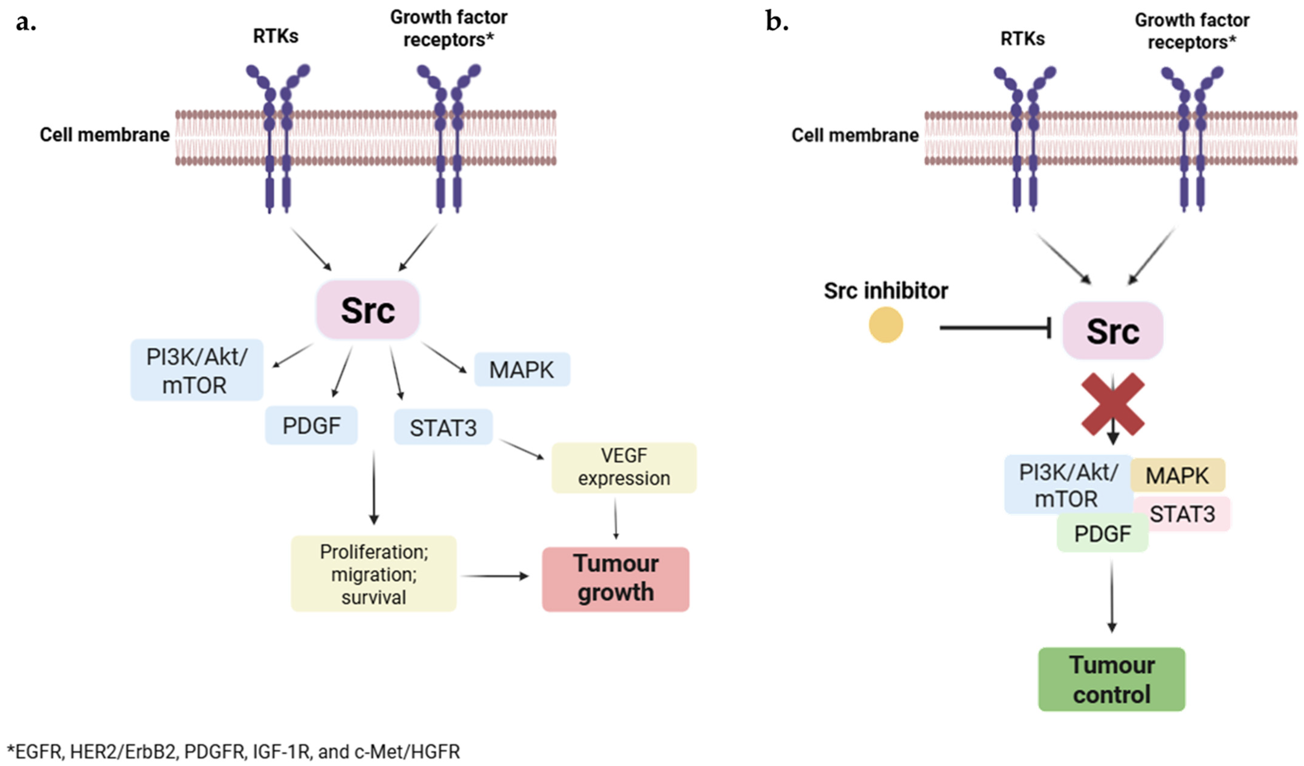 Pharmaceuticals 18 01426 g003 Pharmaceuticals 18 01426 g003