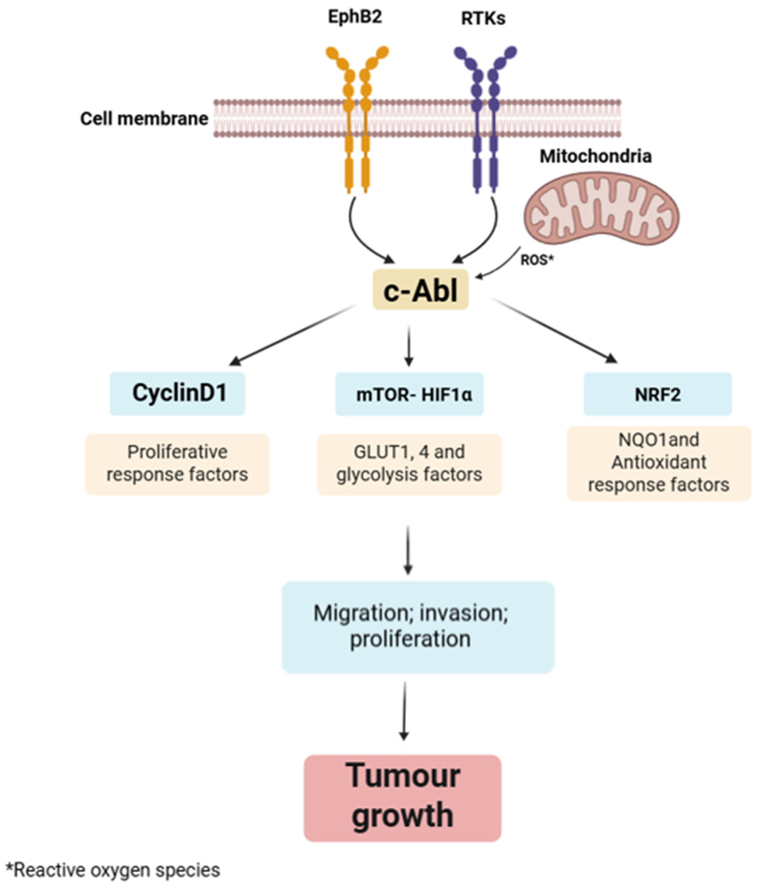 Pharmaceuticals 18 01426 g004 Pharmaceuticals 18 01426 g004