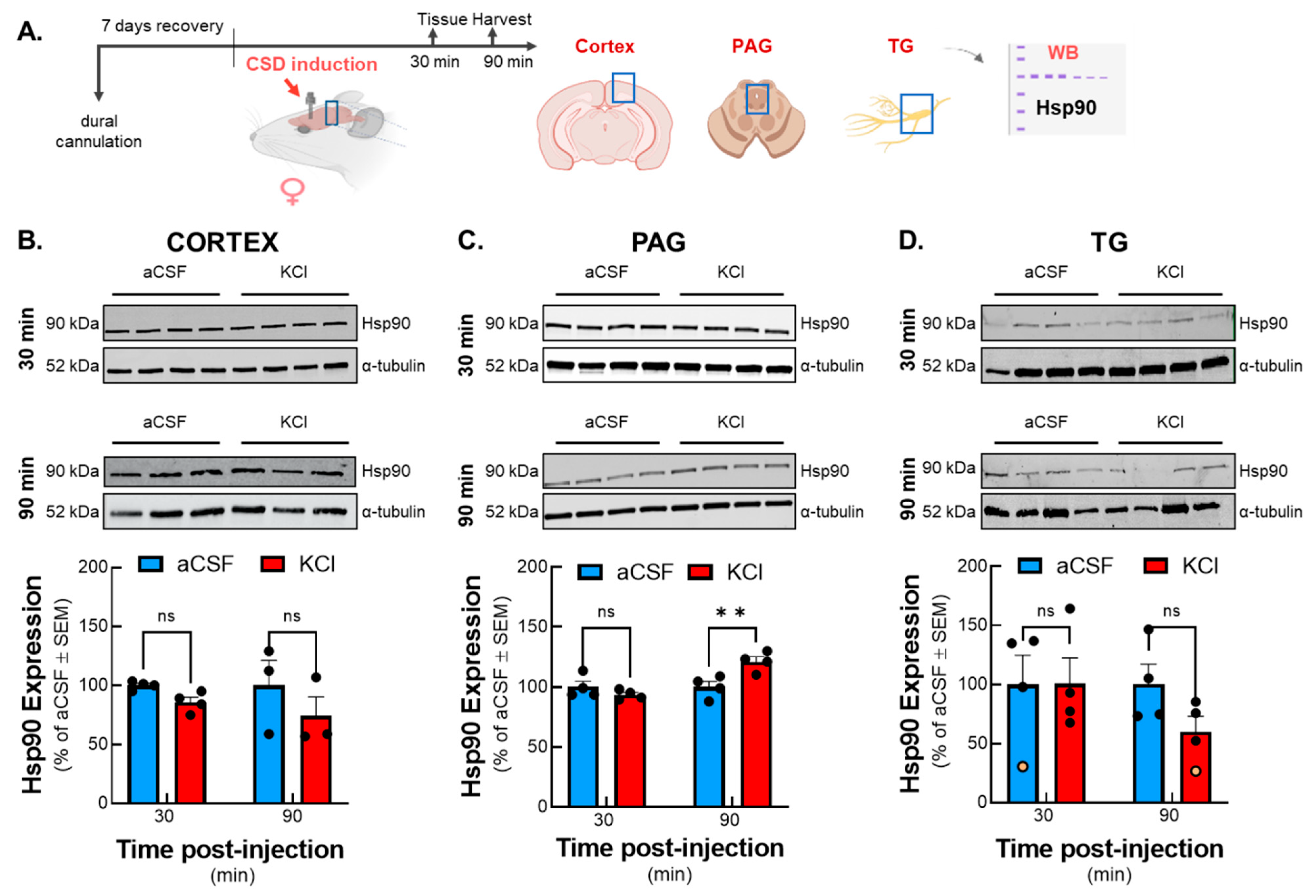 Pharmaceuticals 18 01430 g001
