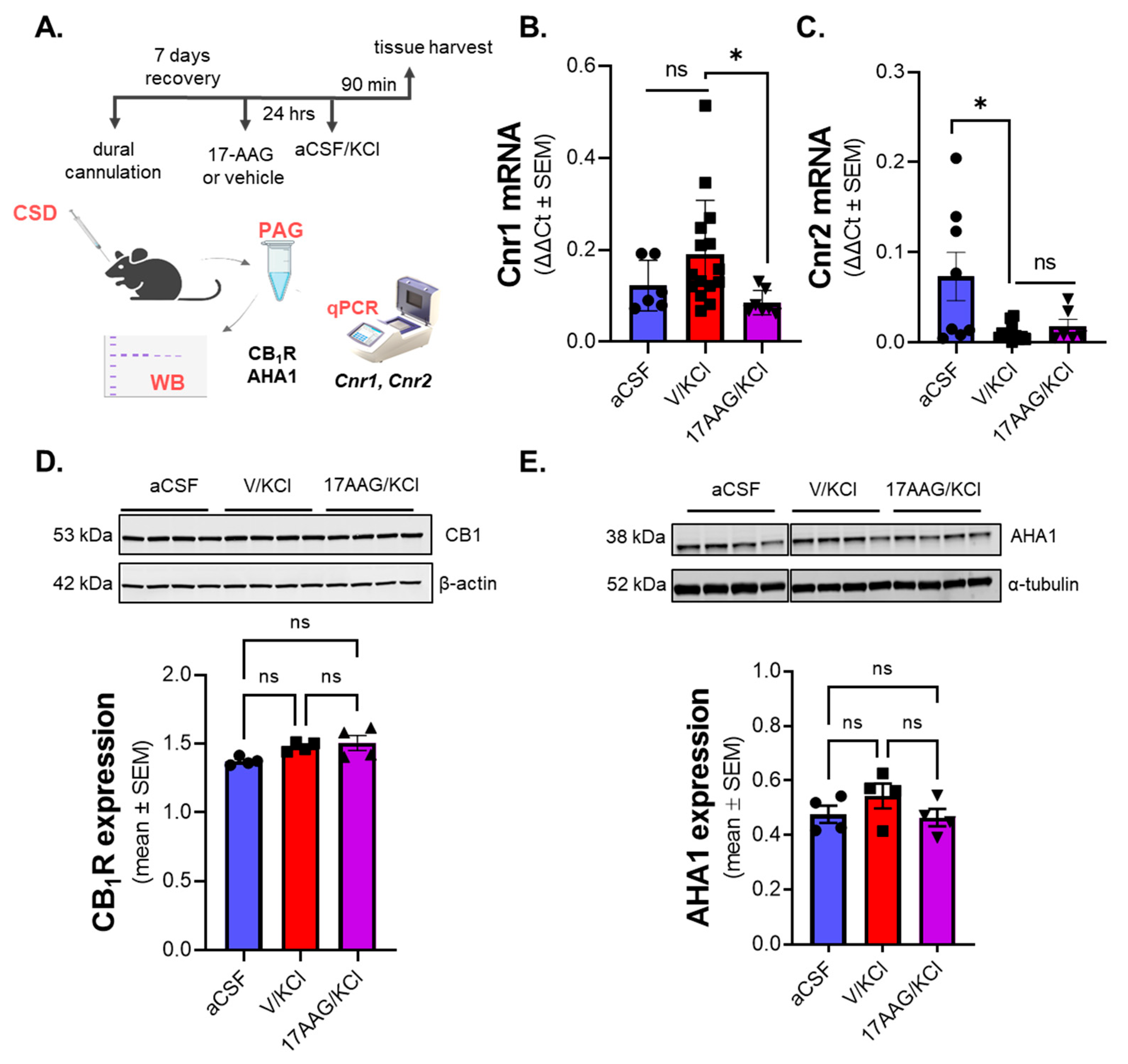 Pharmaceuticals 18 01430 g003