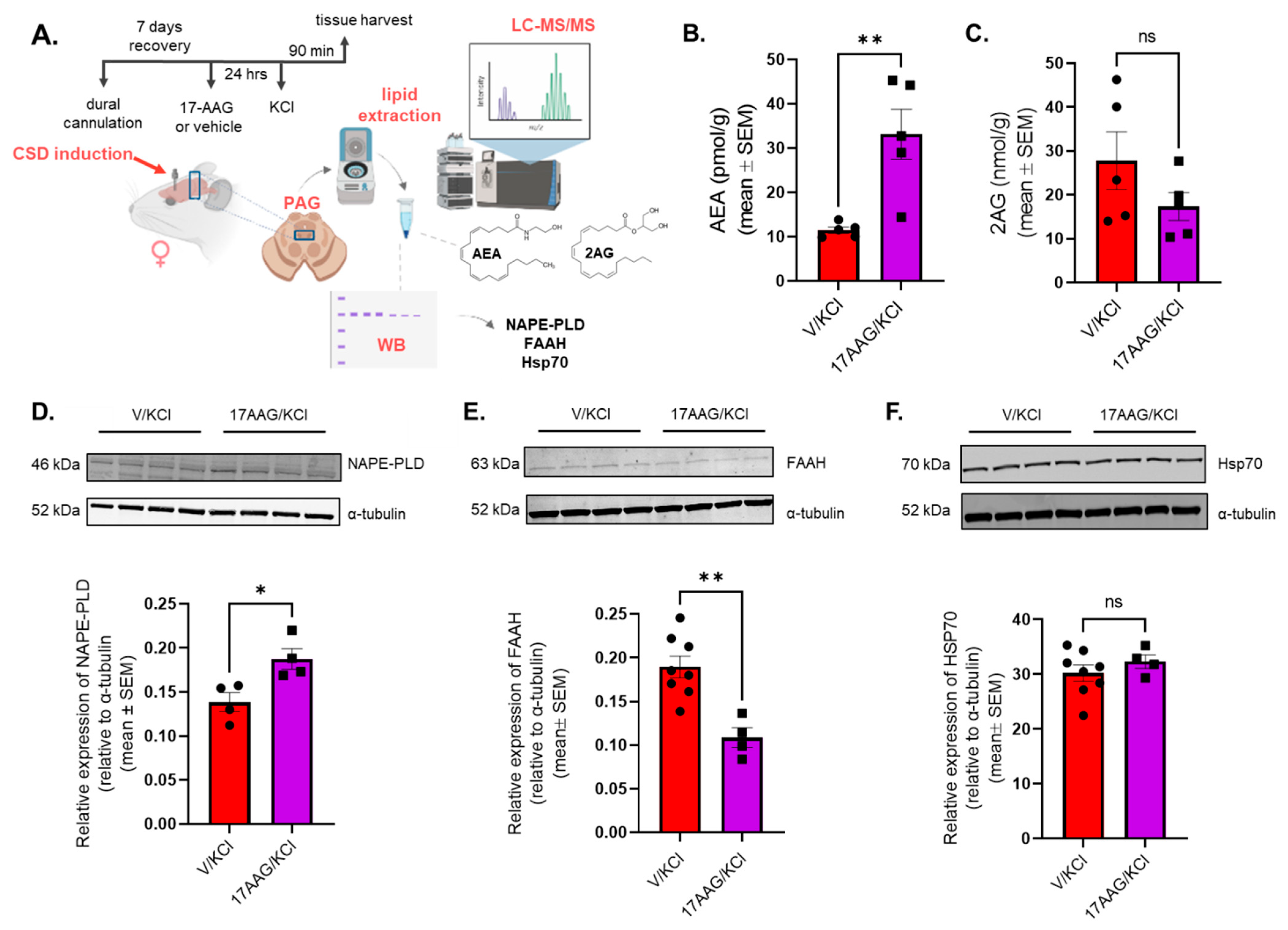 Pharmaceuticals 18 01430 g005