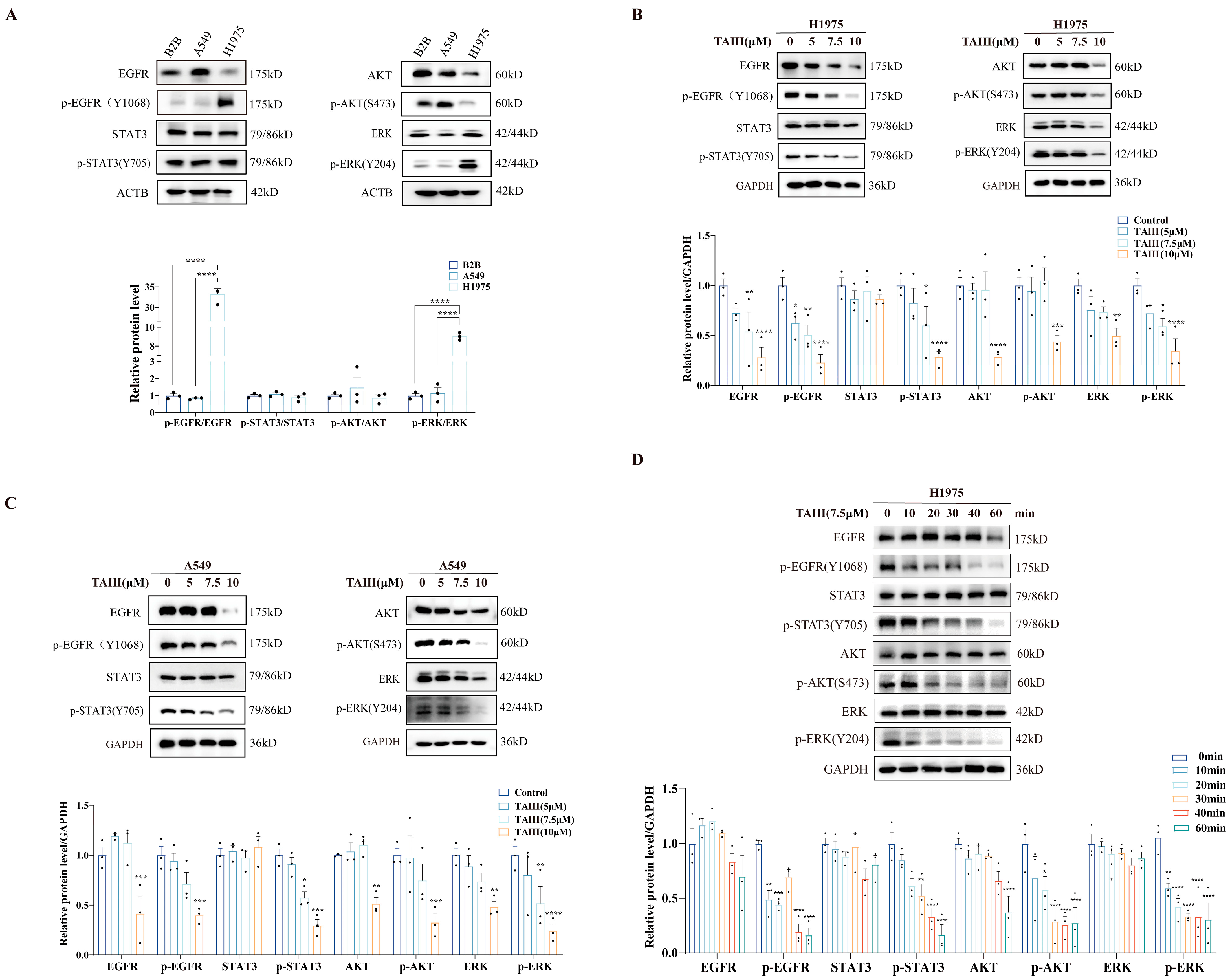 Pharmaceuticals 18 01431 g002 Pharmaceuticals 18 01431 g002