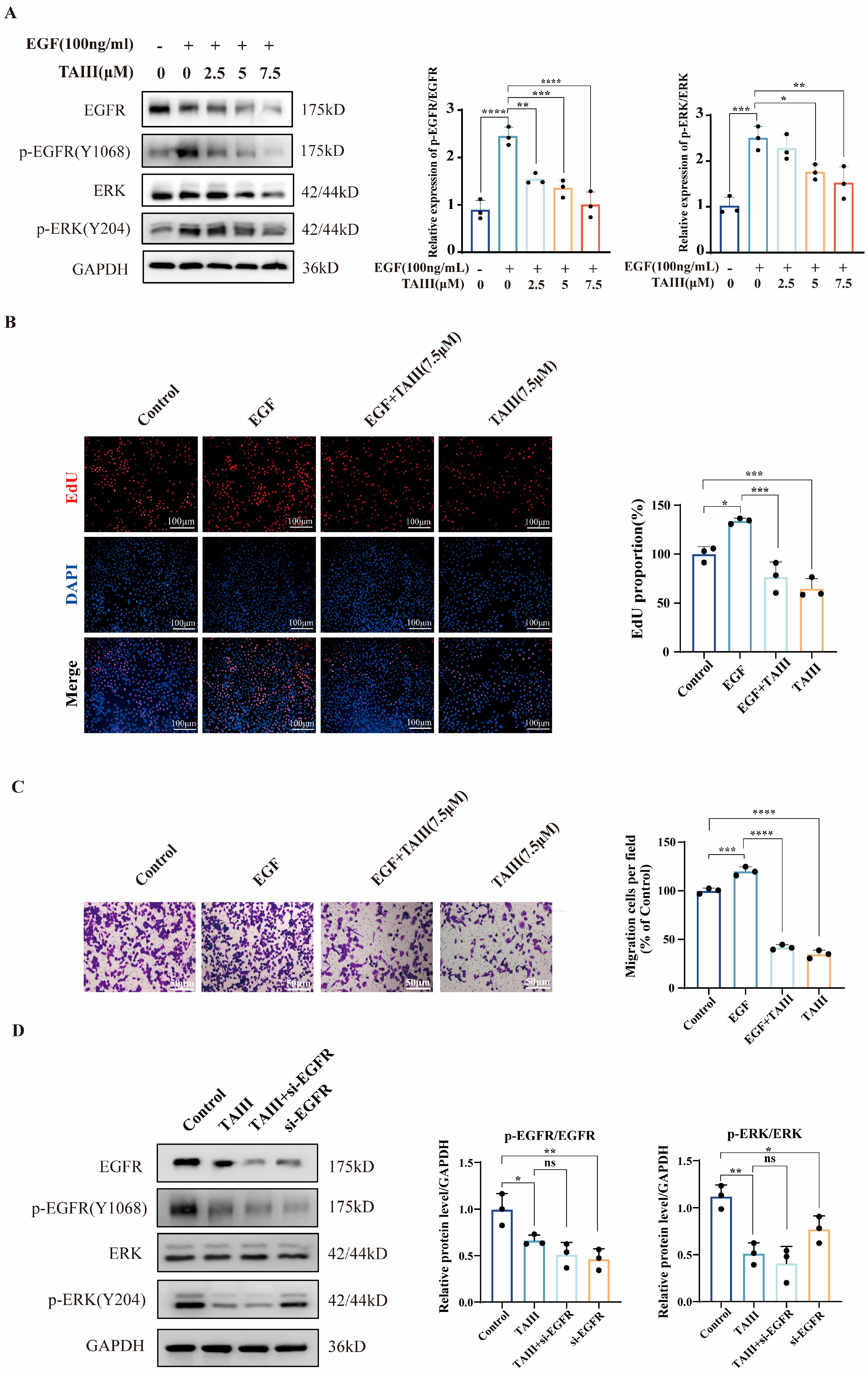 Pharmaceuticals 18 01431 g003 Pharmaceuticals 18 01431 g003