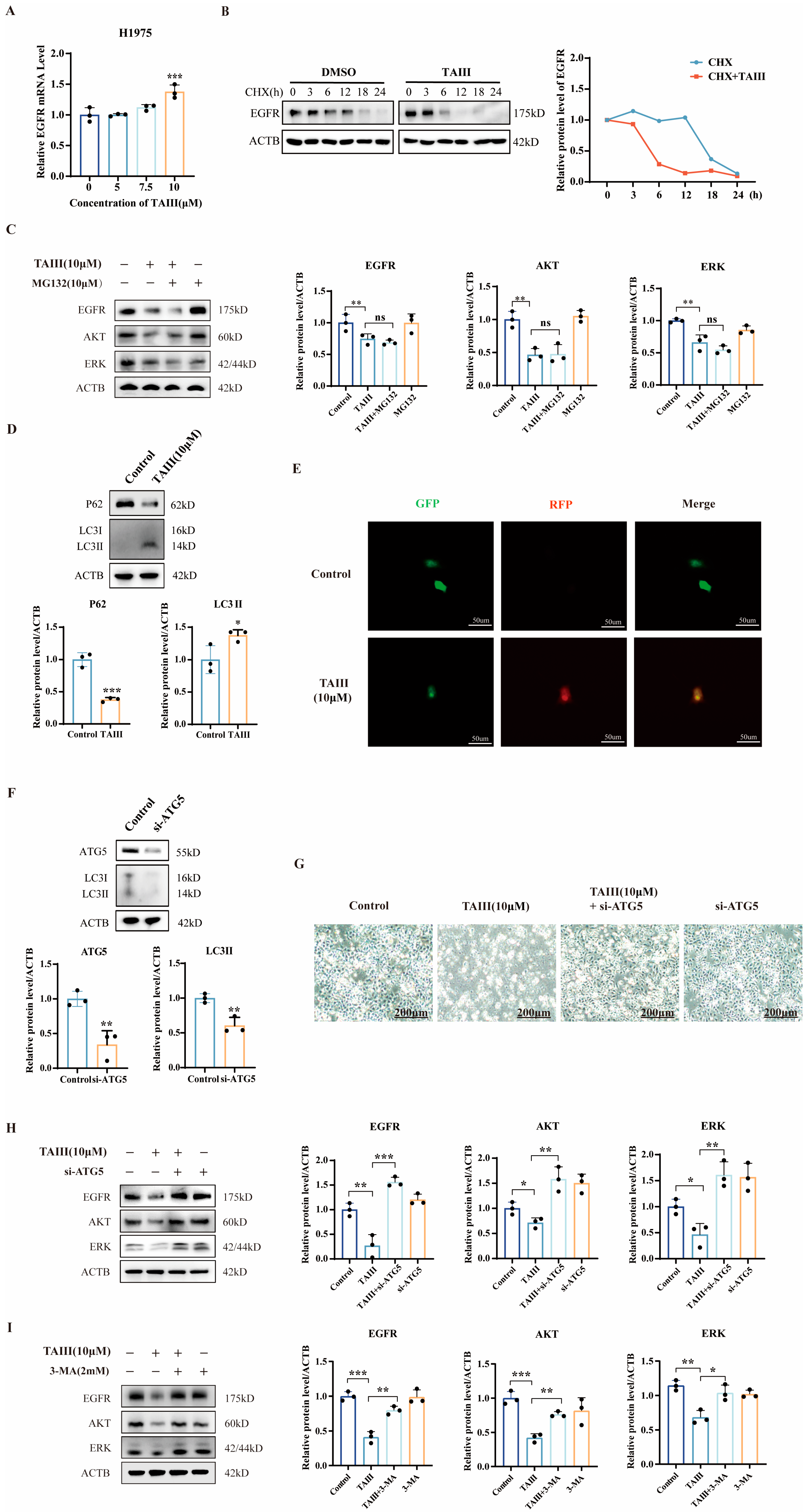 Pharmaceuticals 18 01431 g005 Pharmaceuticals 18 01431 g005
