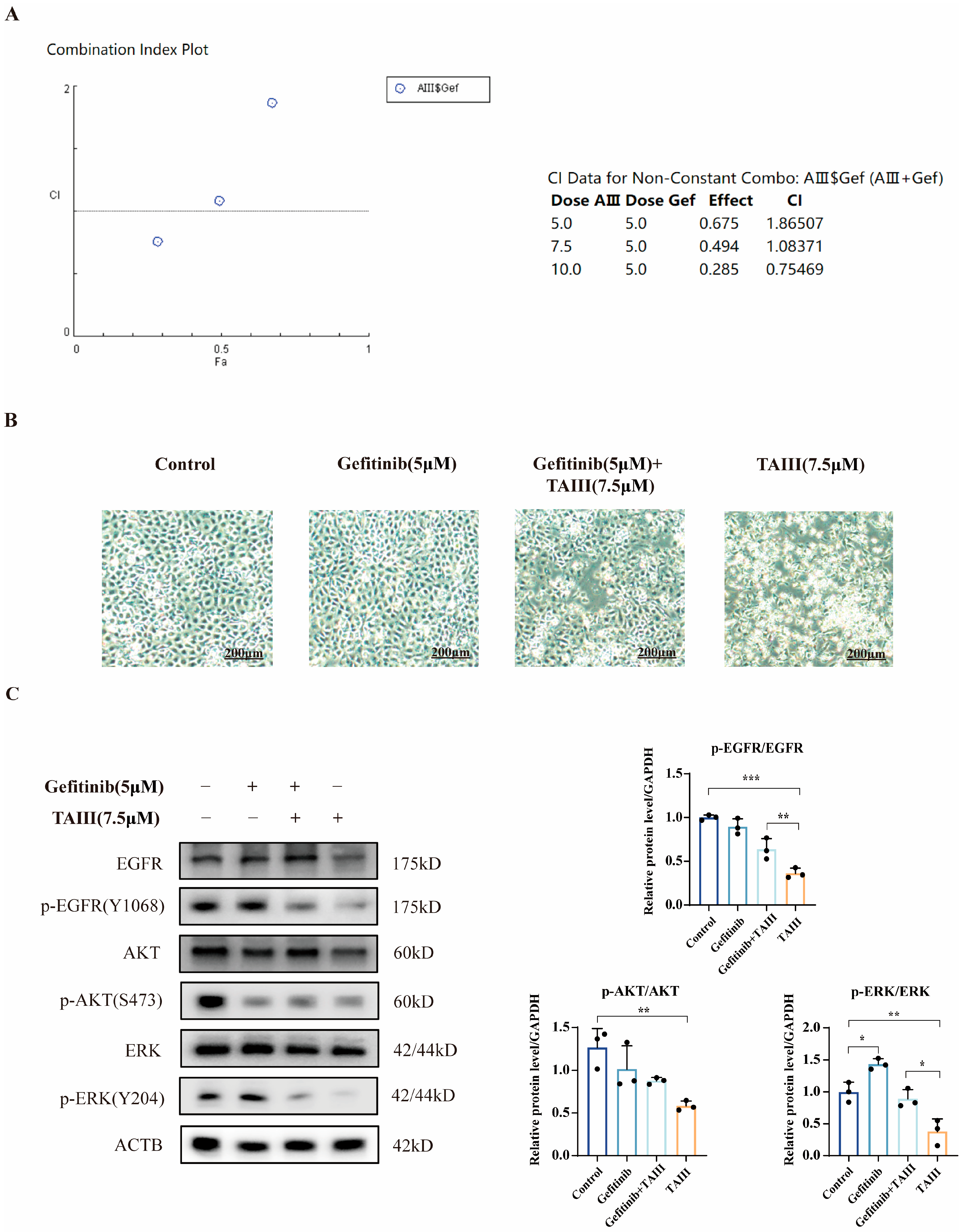 Pharmaceuticals 18 01431 g006 Pharmaceuticals 18 01431 g006
