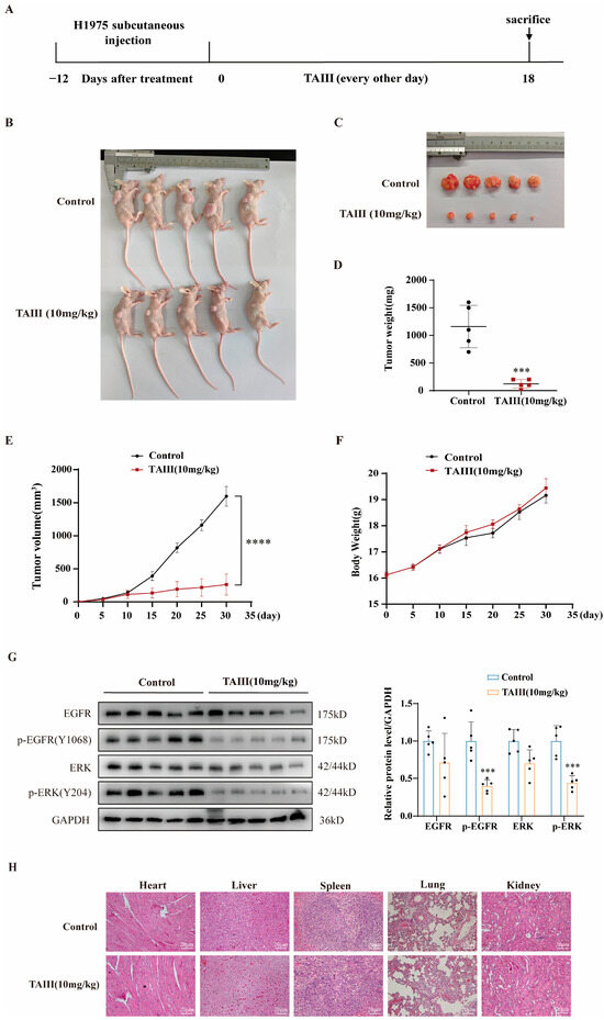 TAIII Suppresses the Growth of T790M-Mutant Non-Small-Cell