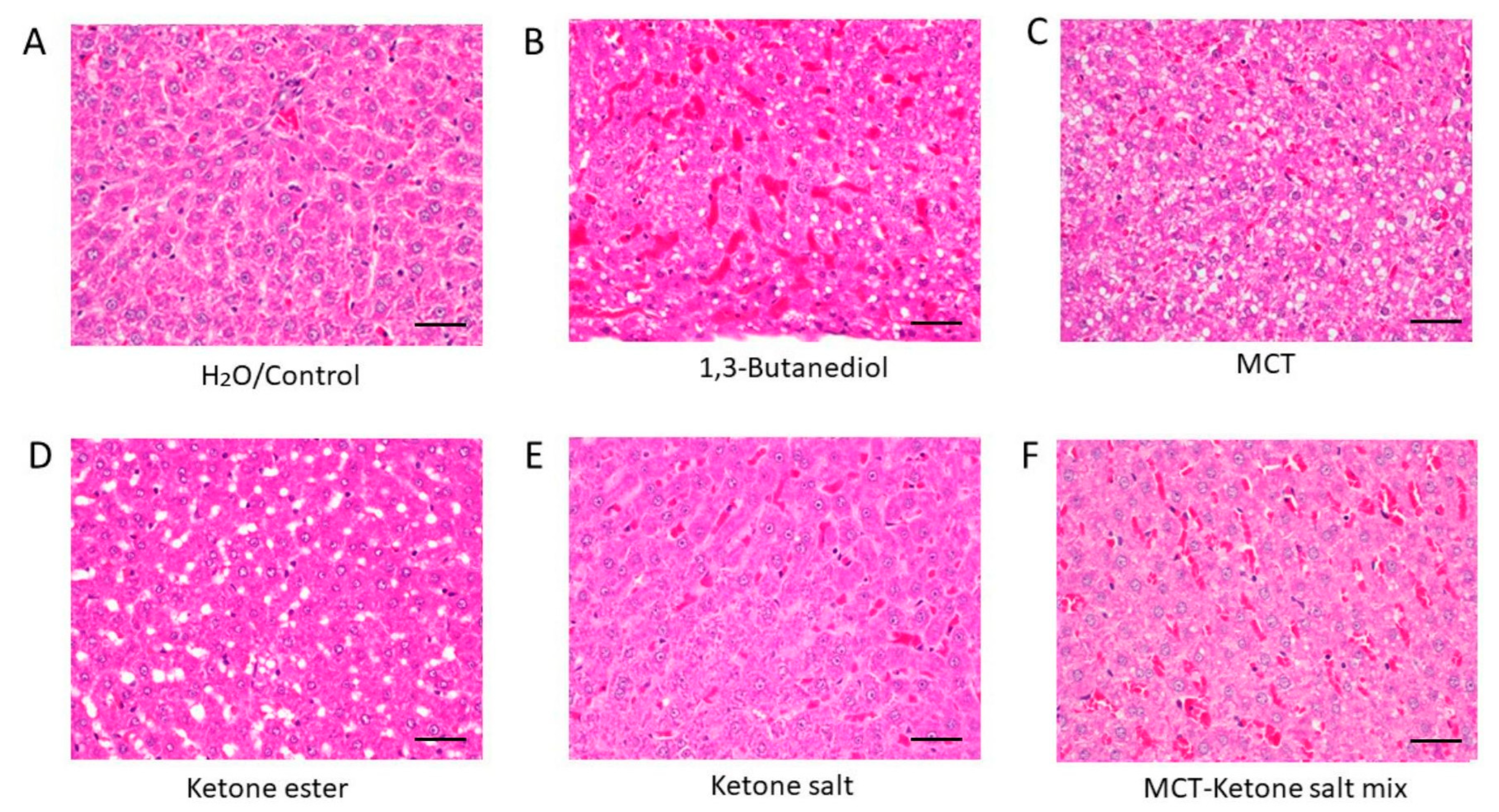 Pharmaceuticals 18 01436 g001 Pharmaceuticals 18 01436 g001