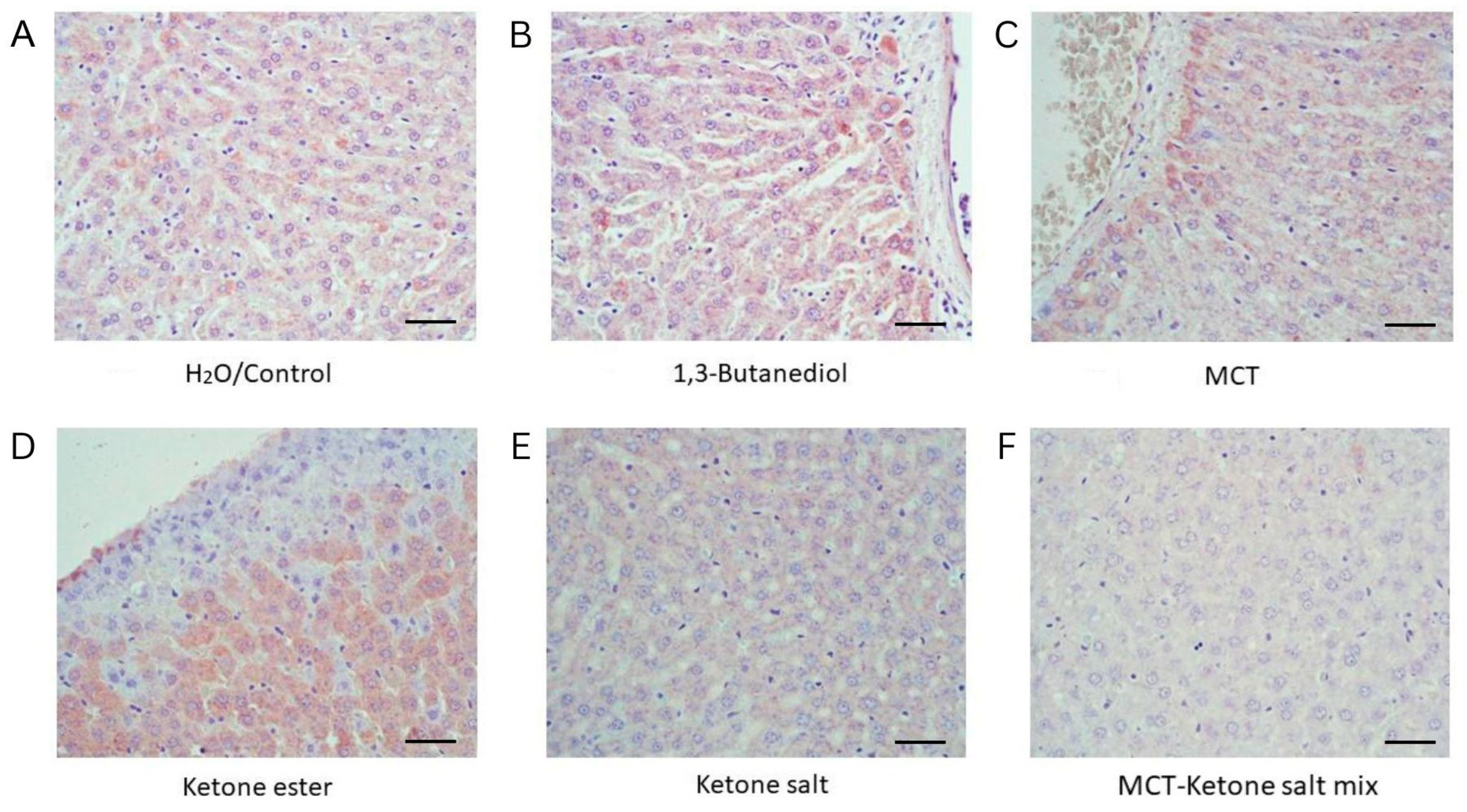 Pharmaceuticals 18 01436 g003 Pharmaceuticals 18 01436 g003