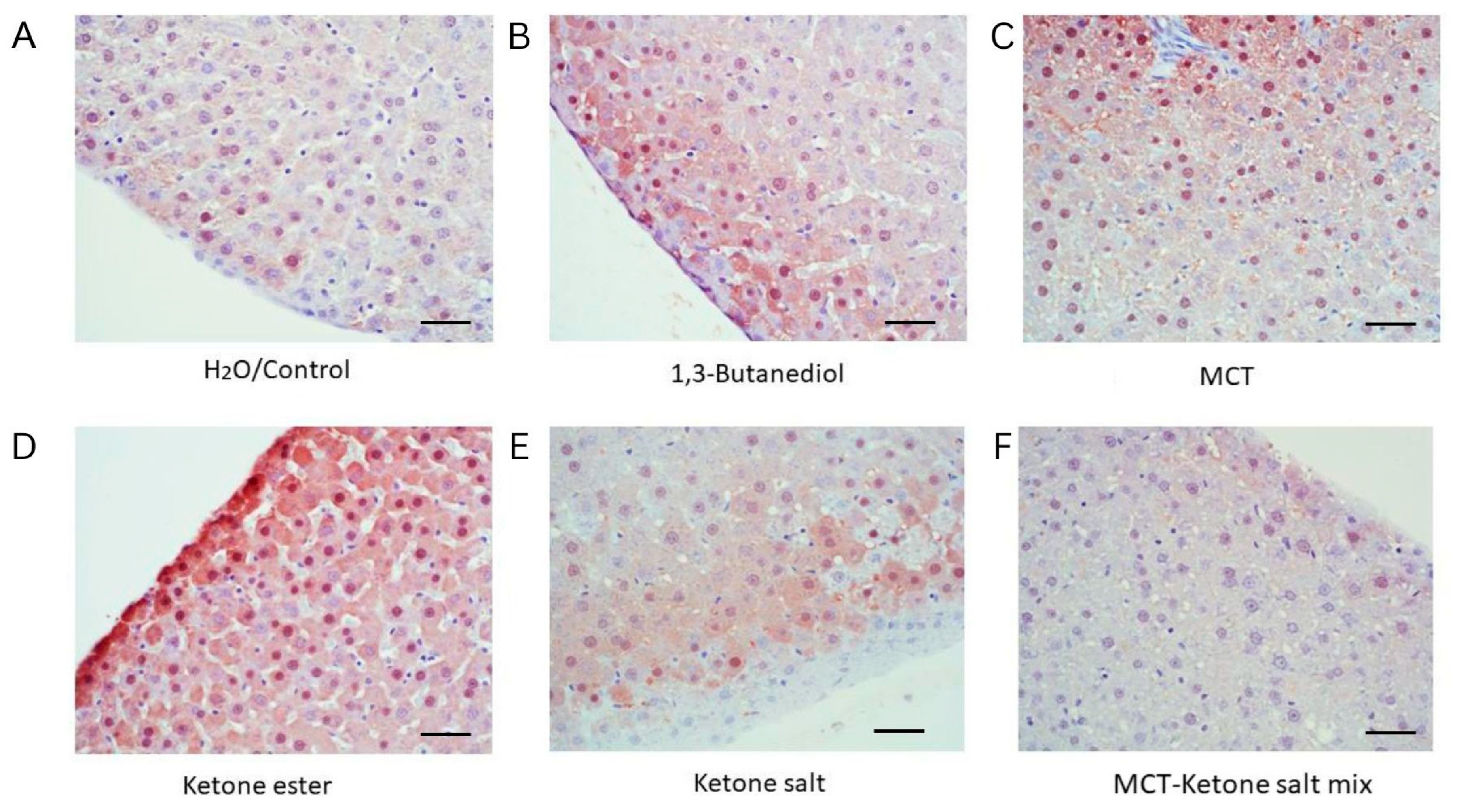 Pharmaceuticals 18 01436 g005 Pharmaceuticals 18 01436 g005
