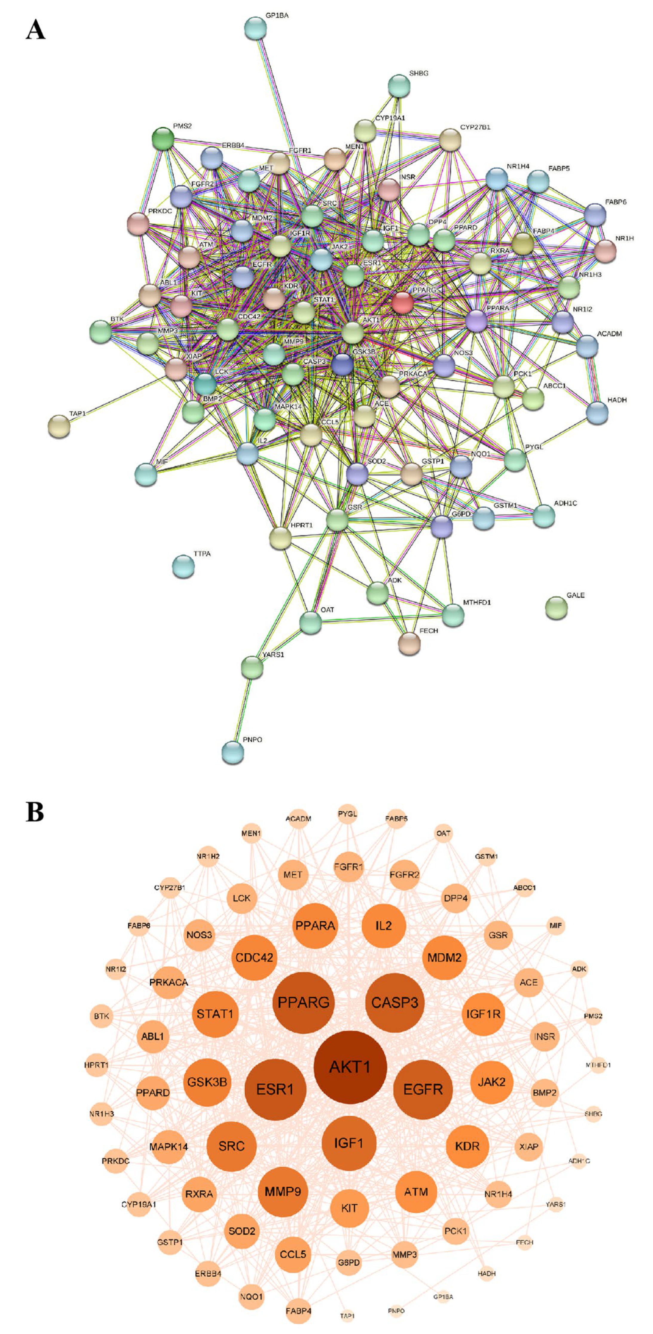 Pharmaceuticals 18 01441 g006 Pharmaceuticals 18 01441 g006