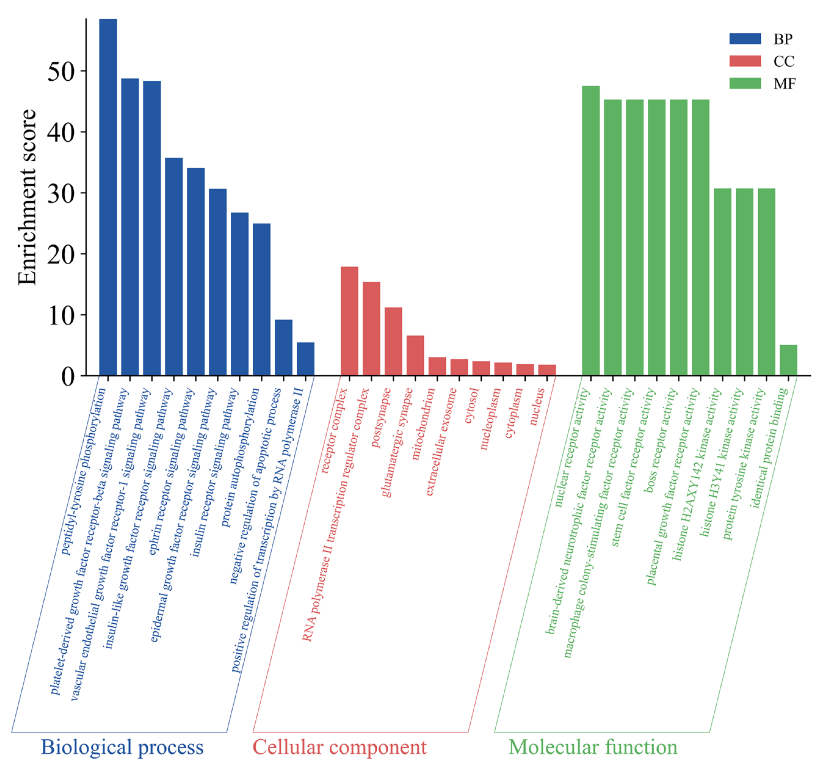 Pharmaceuticals 18 01441 g007 Pharmaceuticals 18 01441 g007