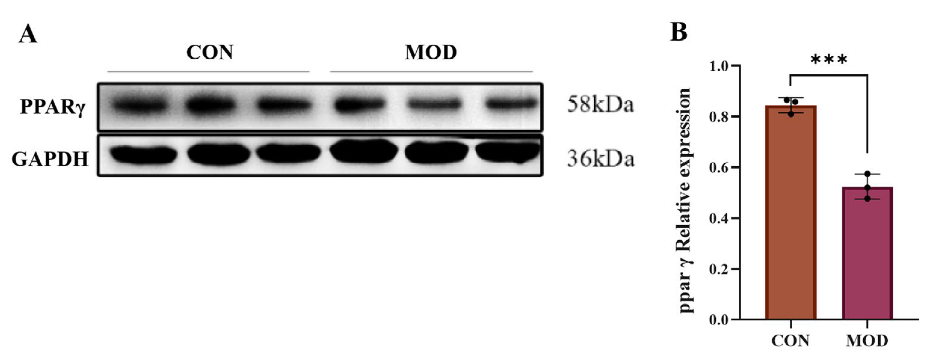 Pharmaceuticals 18 01441 g010 Pharmaceuticals 18 01441 g010