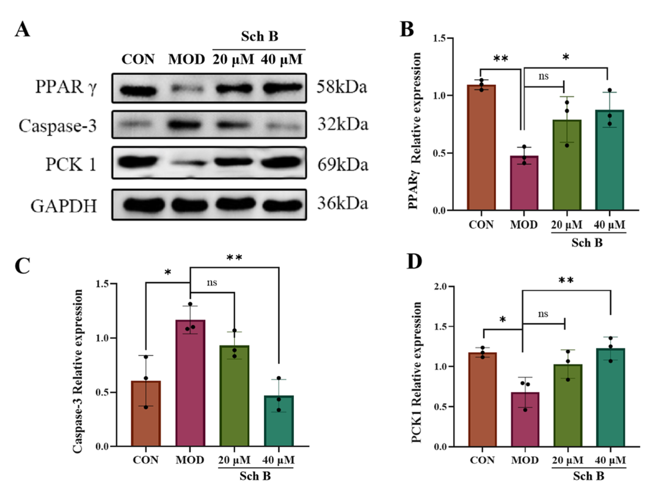 Pharmaceuticals 18 01441 g012 Pharmaceuticals 18 01441 g012