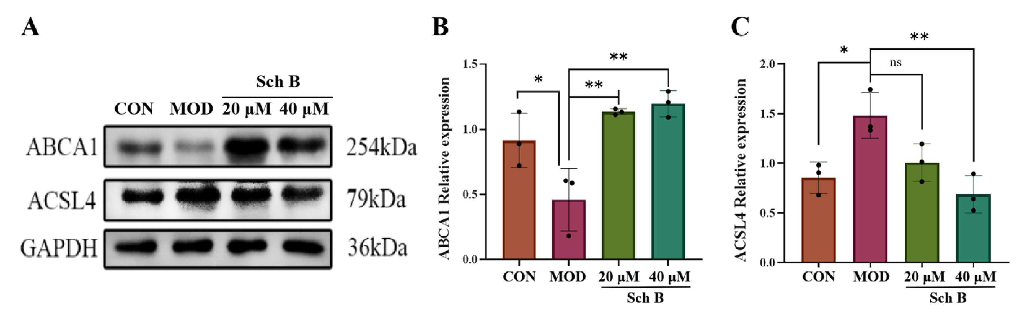 Pharmaceuticals 18 01441 g013 Pharmaceuticals 18 01441 g013