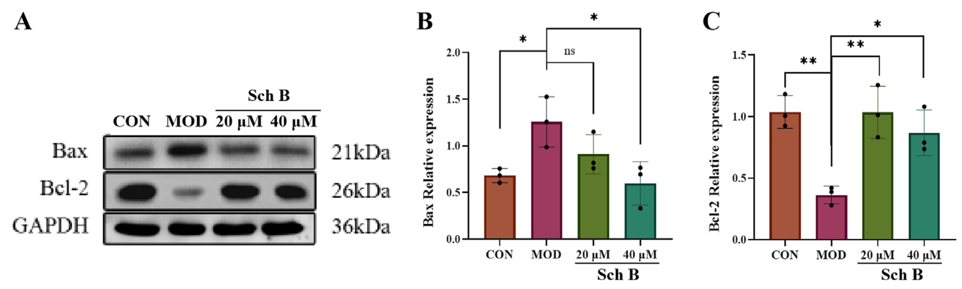Pharmaceuticals 18 01441 g016 Pharmaceuticals 18 01441 g016