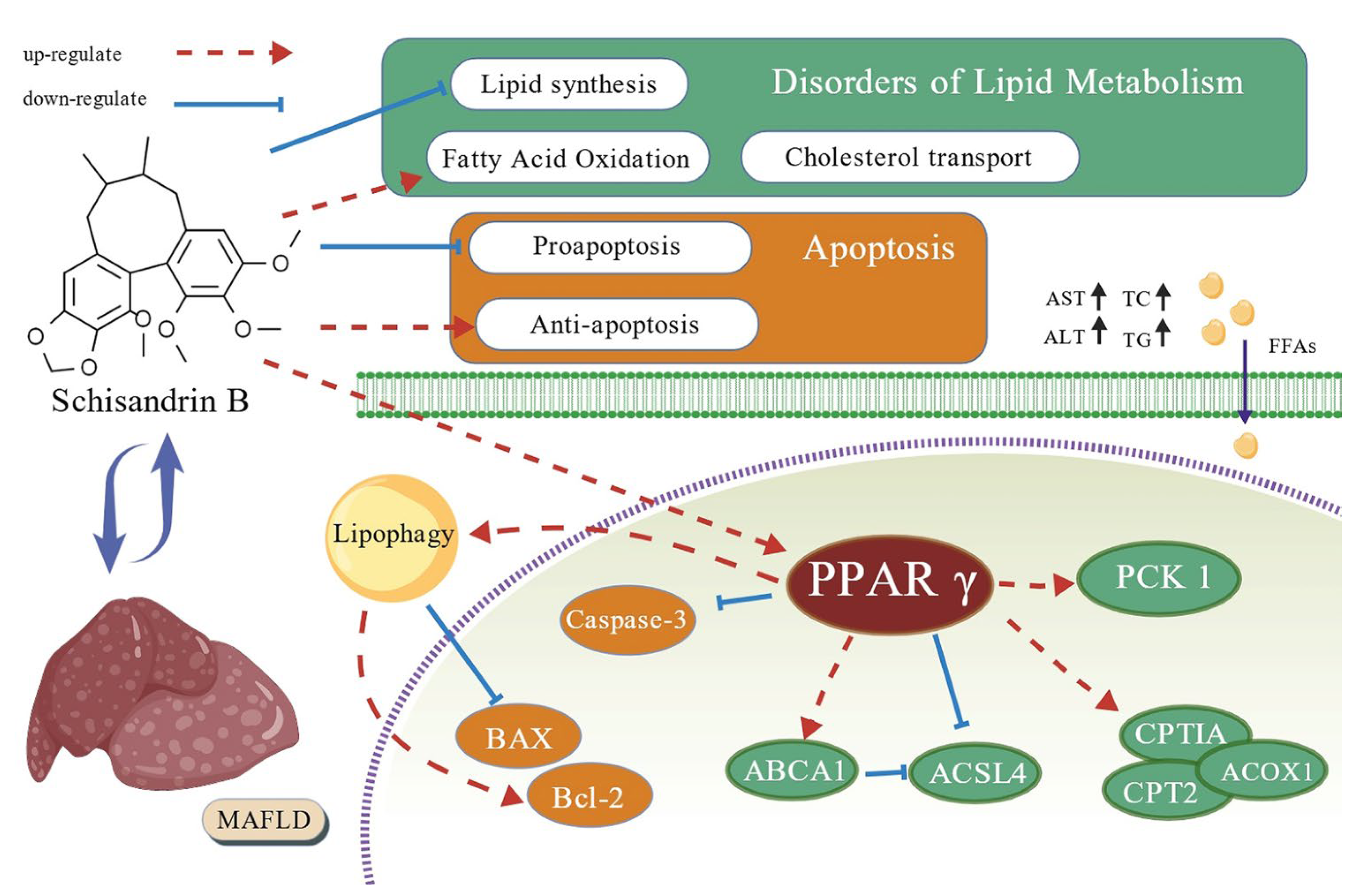 Pharmaceuticals 18 01441 g017 Pharmaceuticals 18 01441 g017