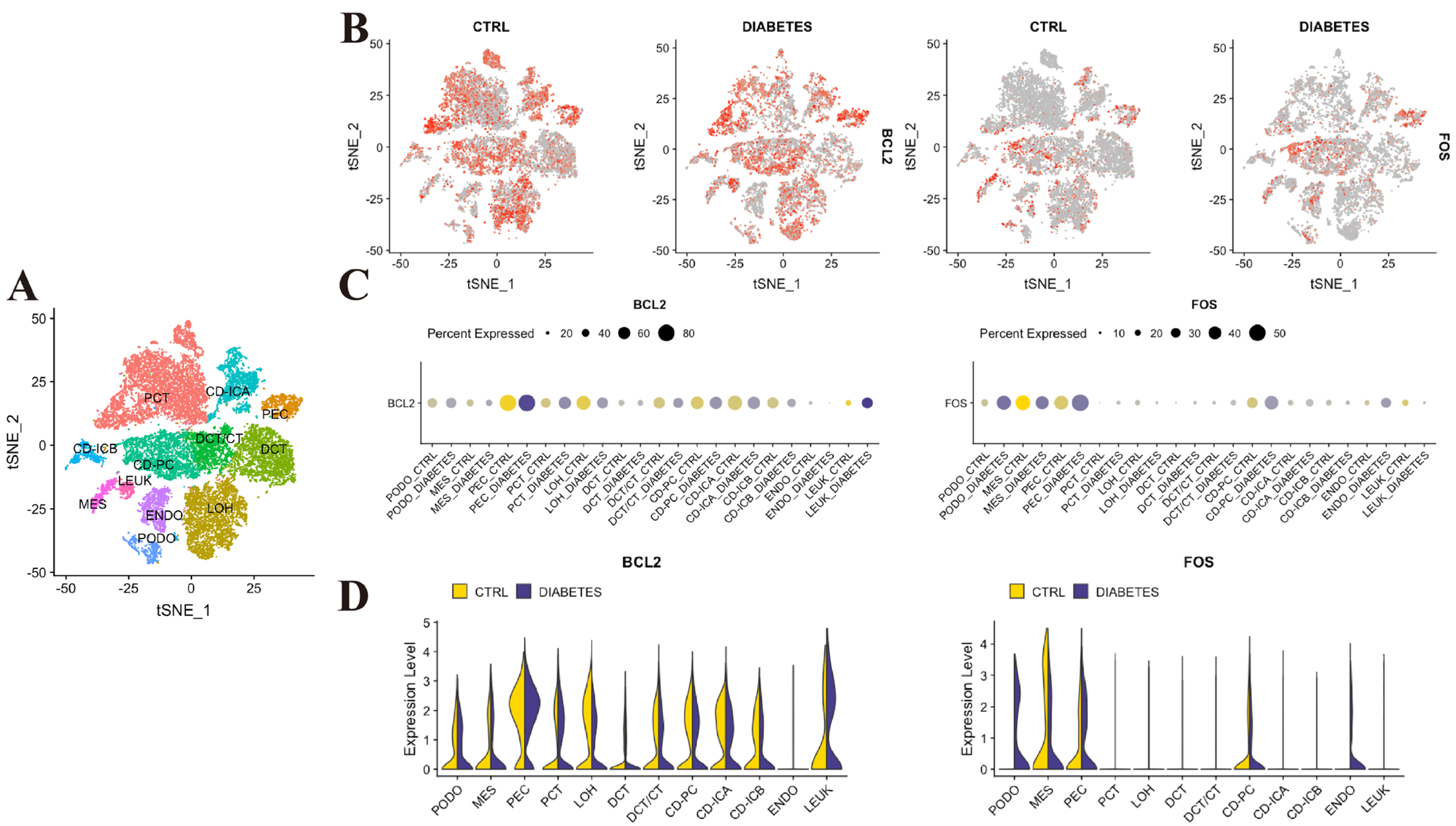 Pharmaceuticals 18 01449 g005 Pharmaceuticals 18 01449 g005