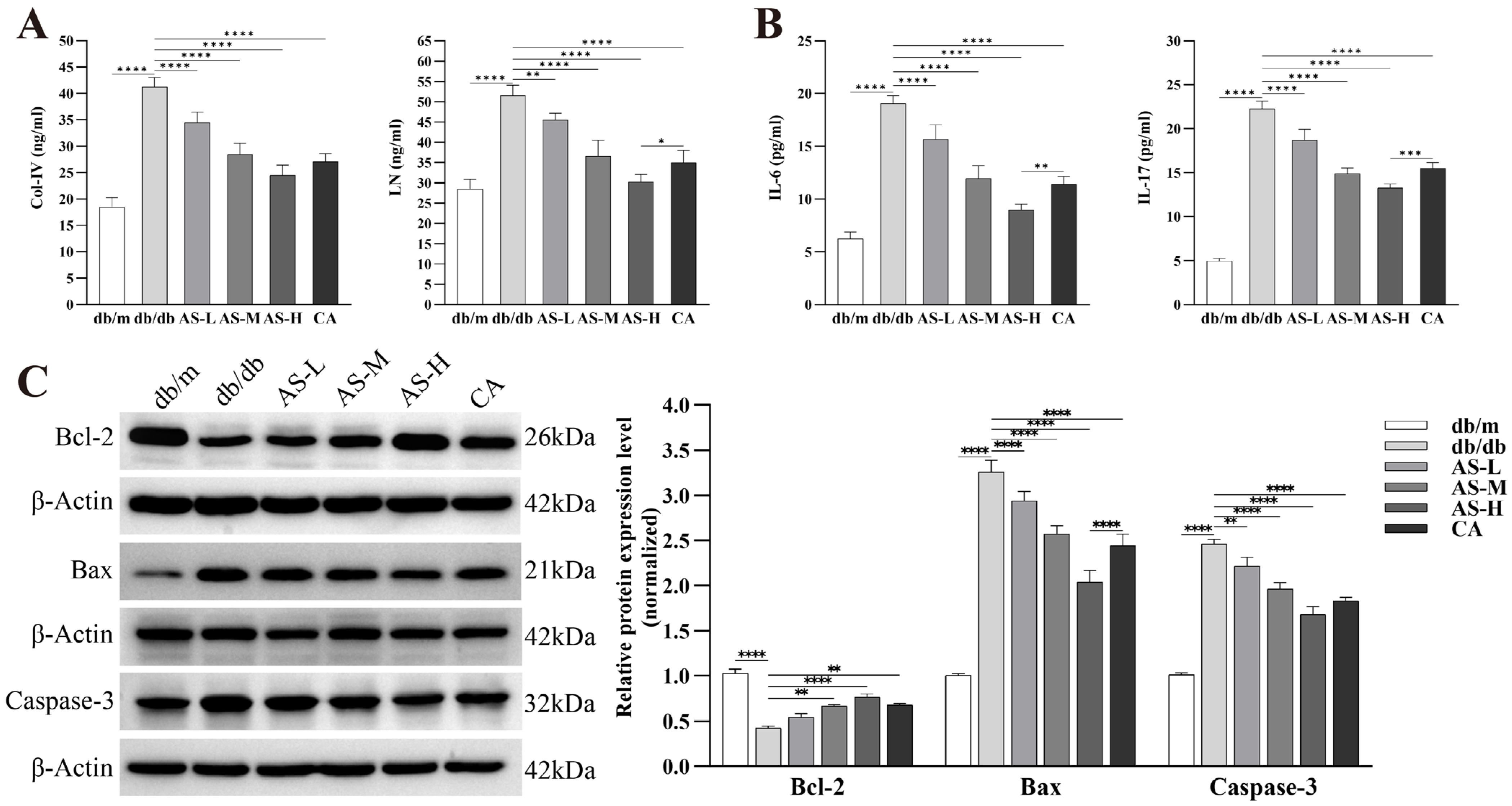 Pharmaceuticals 18 01449 g007 Pharmaceuticals 18 01449 g007