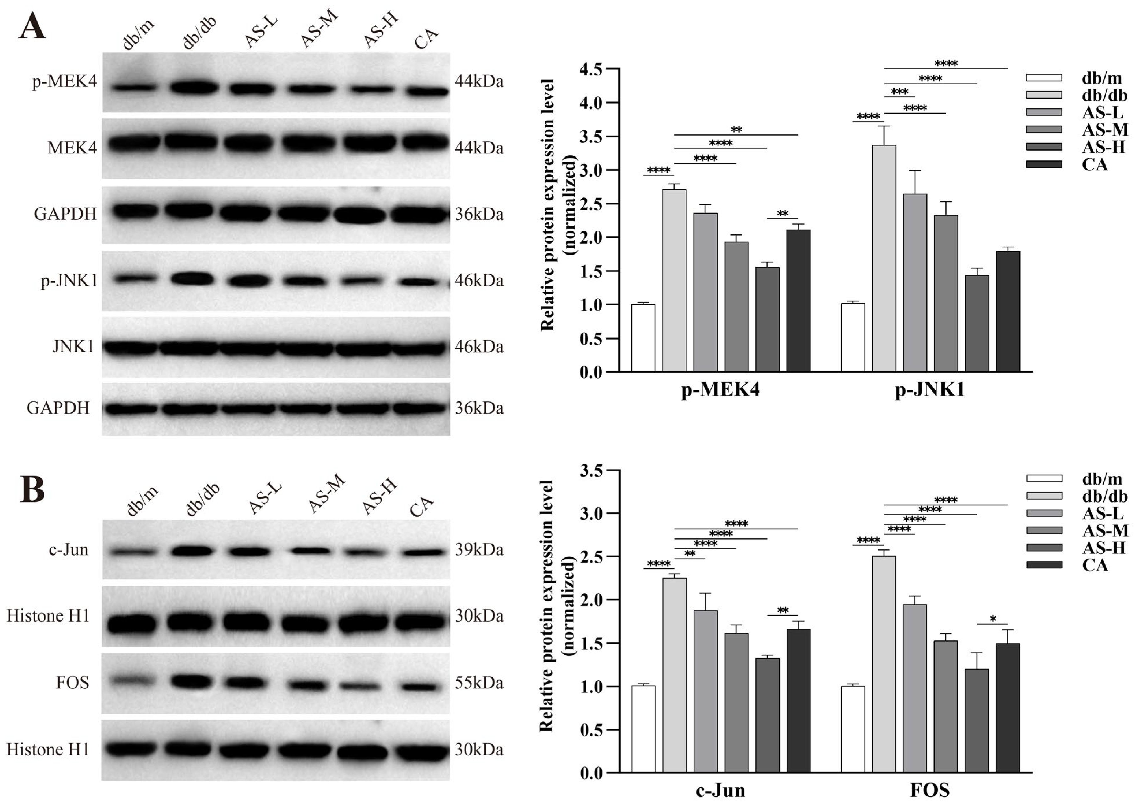 Pharmaceuticals 18 01449 g008 Pharmaceuticals 18 01449 g008