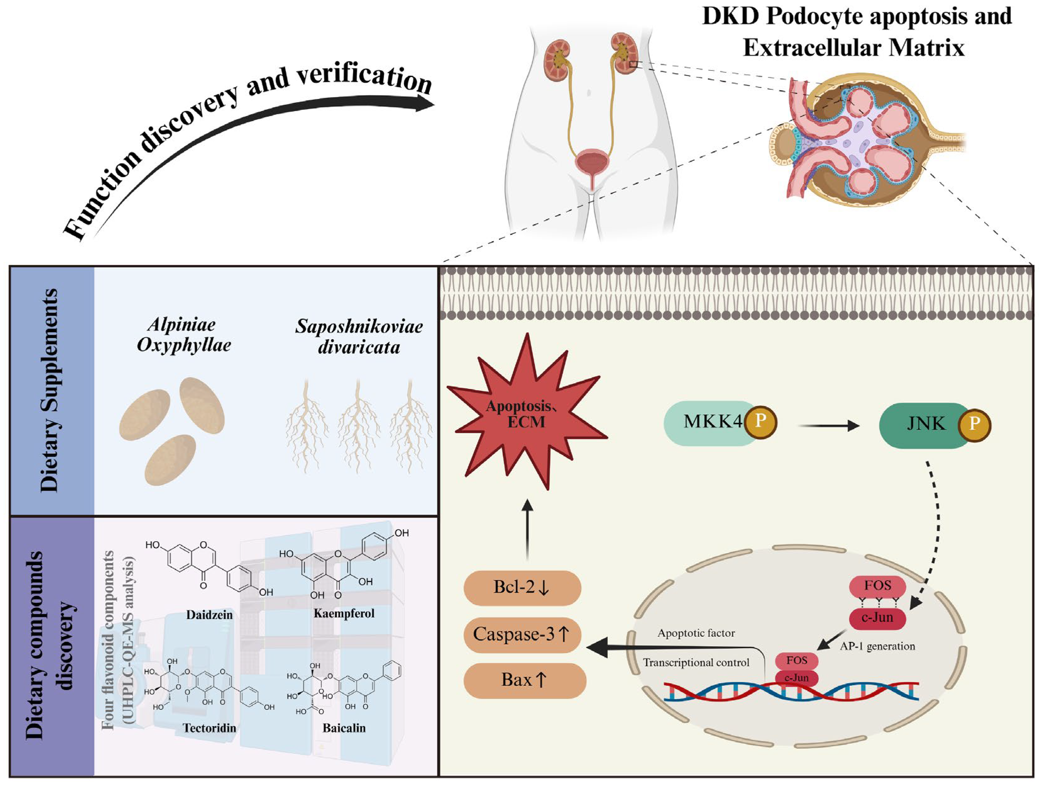 Pharmaceuticals 18 01449 g009 Pharmaceuticals 18 01449 g009