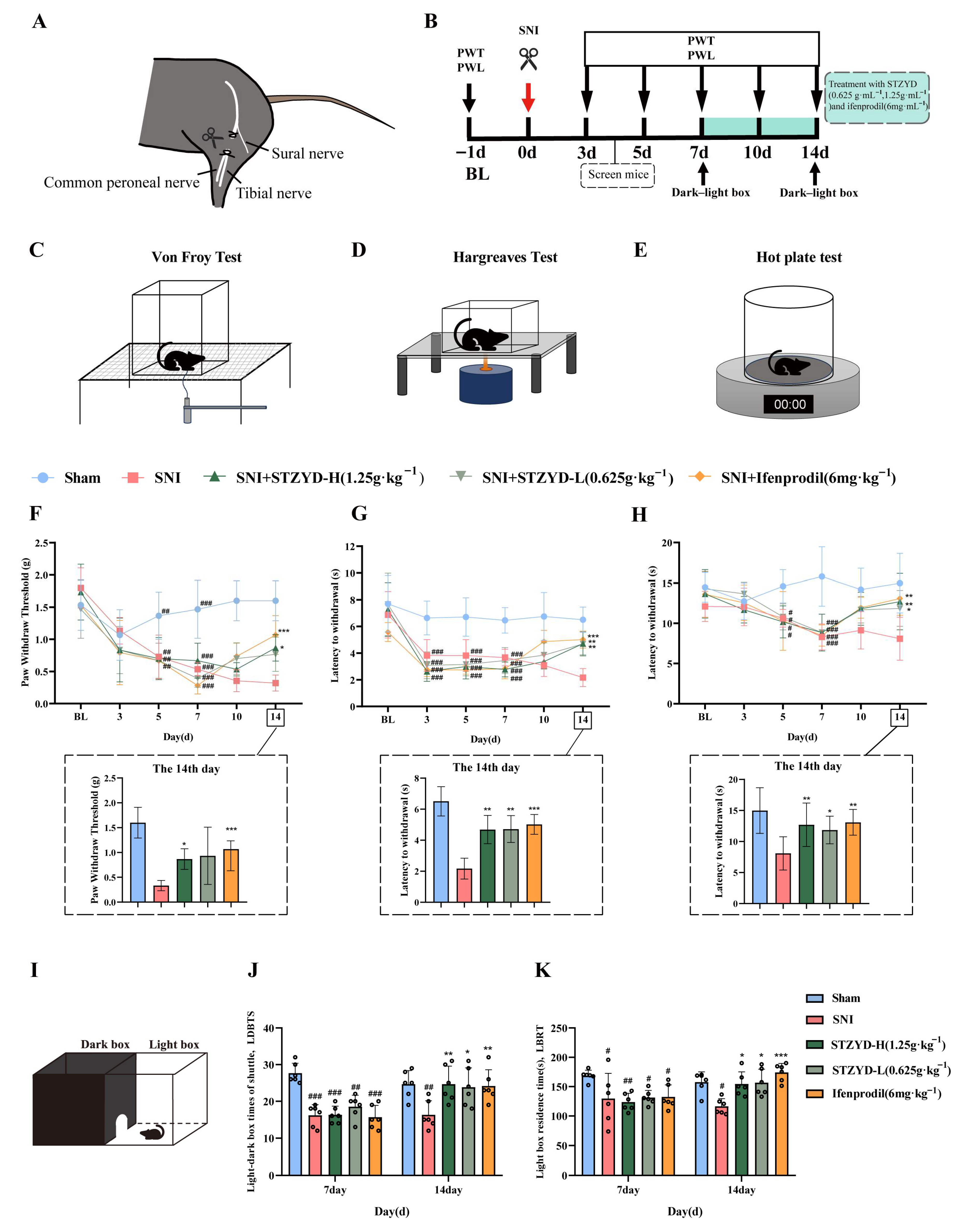 Pharmaceuticals 18 01456 g002