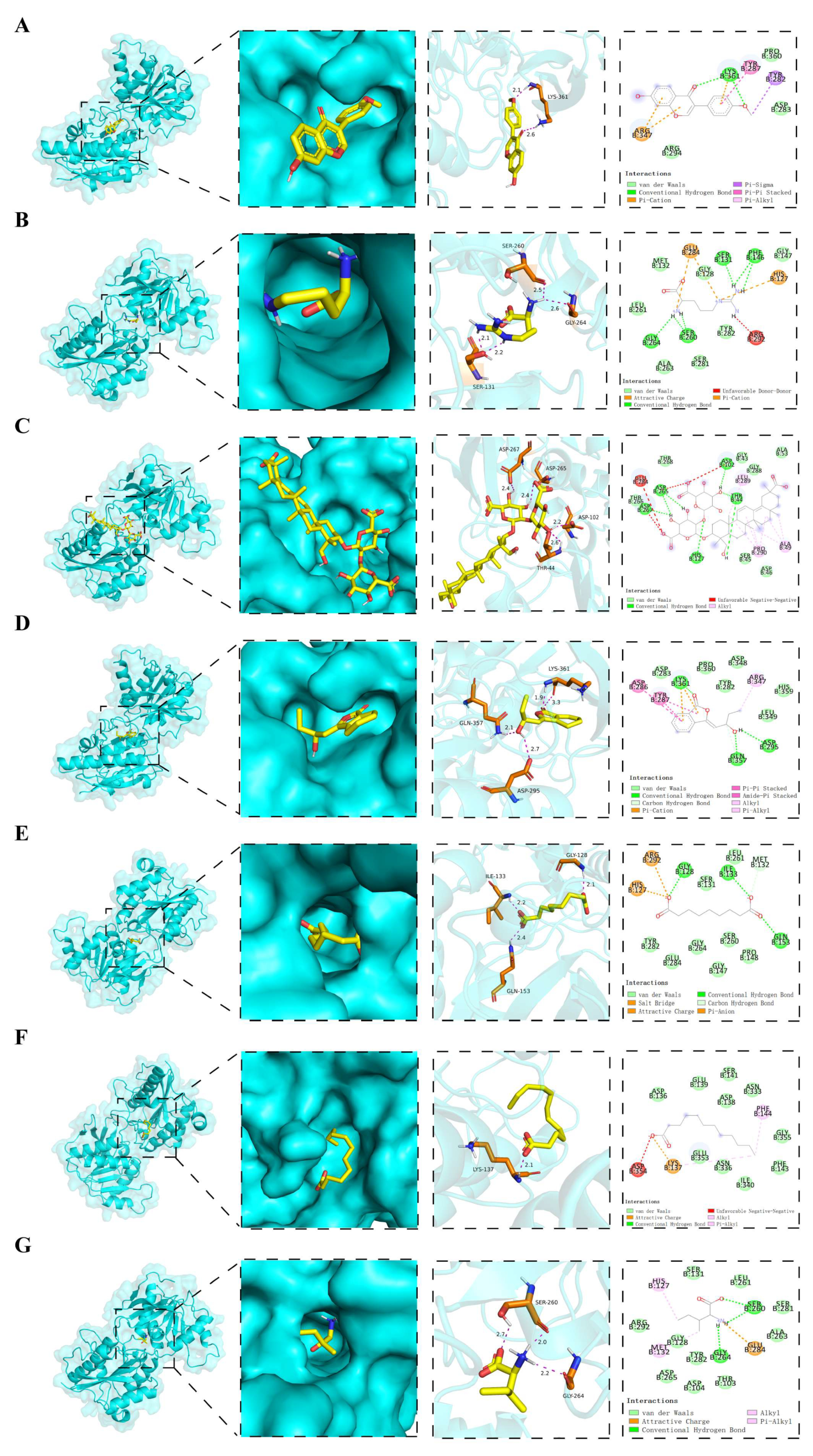 Pharmaceuticals 18 01456 g010