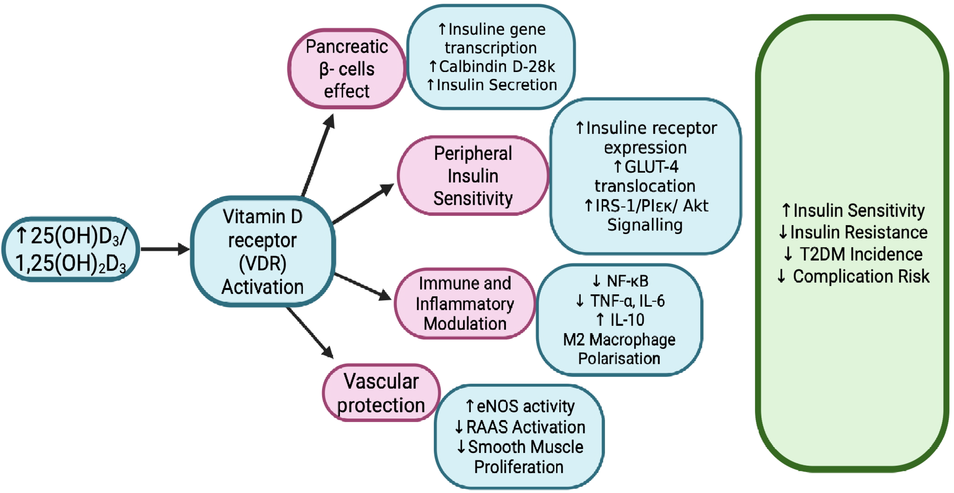 Pharmaceuticals 18 01467 g002