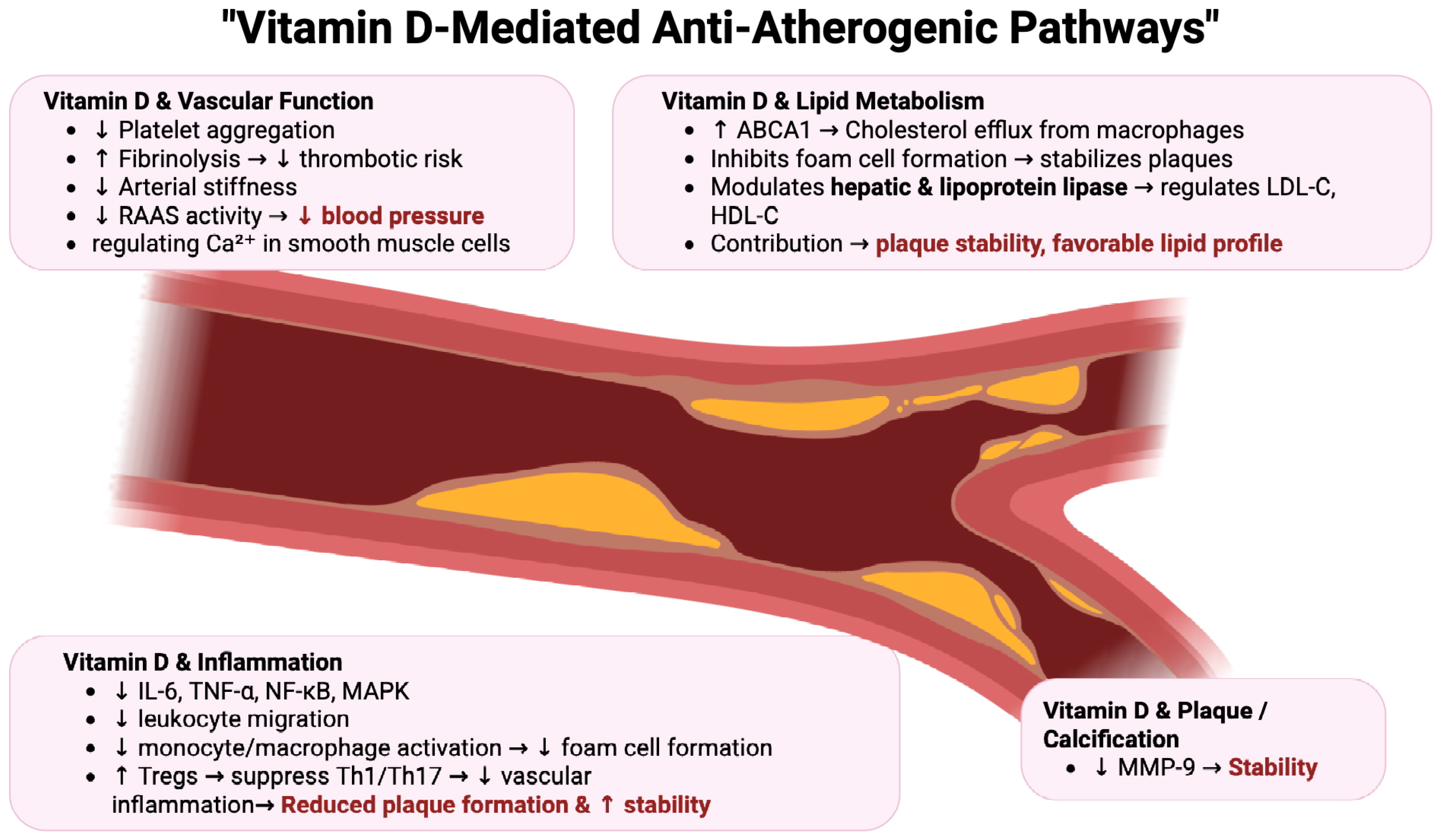 Pharmaceuticals 18 01467 g003