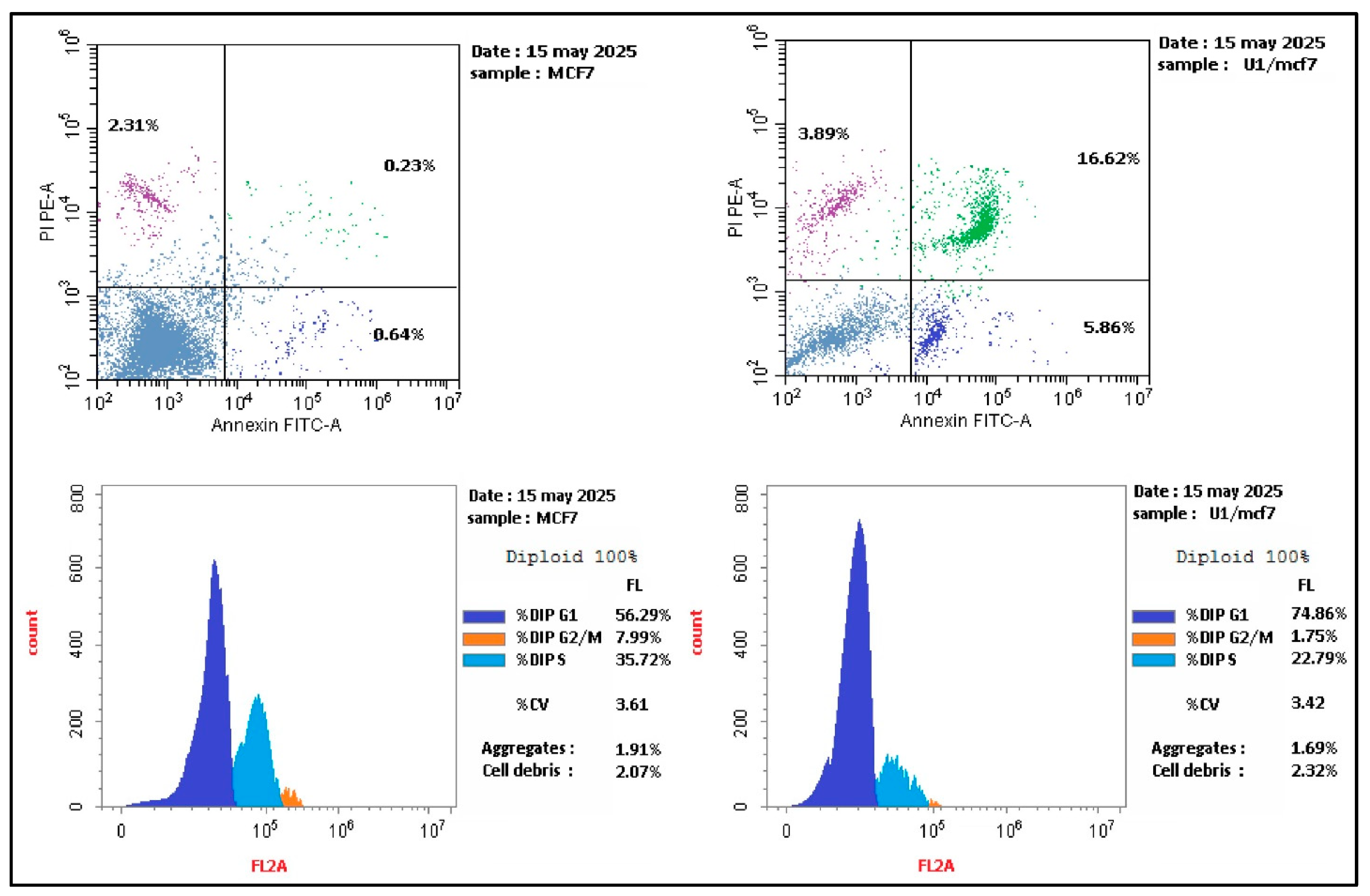 Pharmaceuticals 18 01472 g006 Pharmaceuticals 18 01472 g006