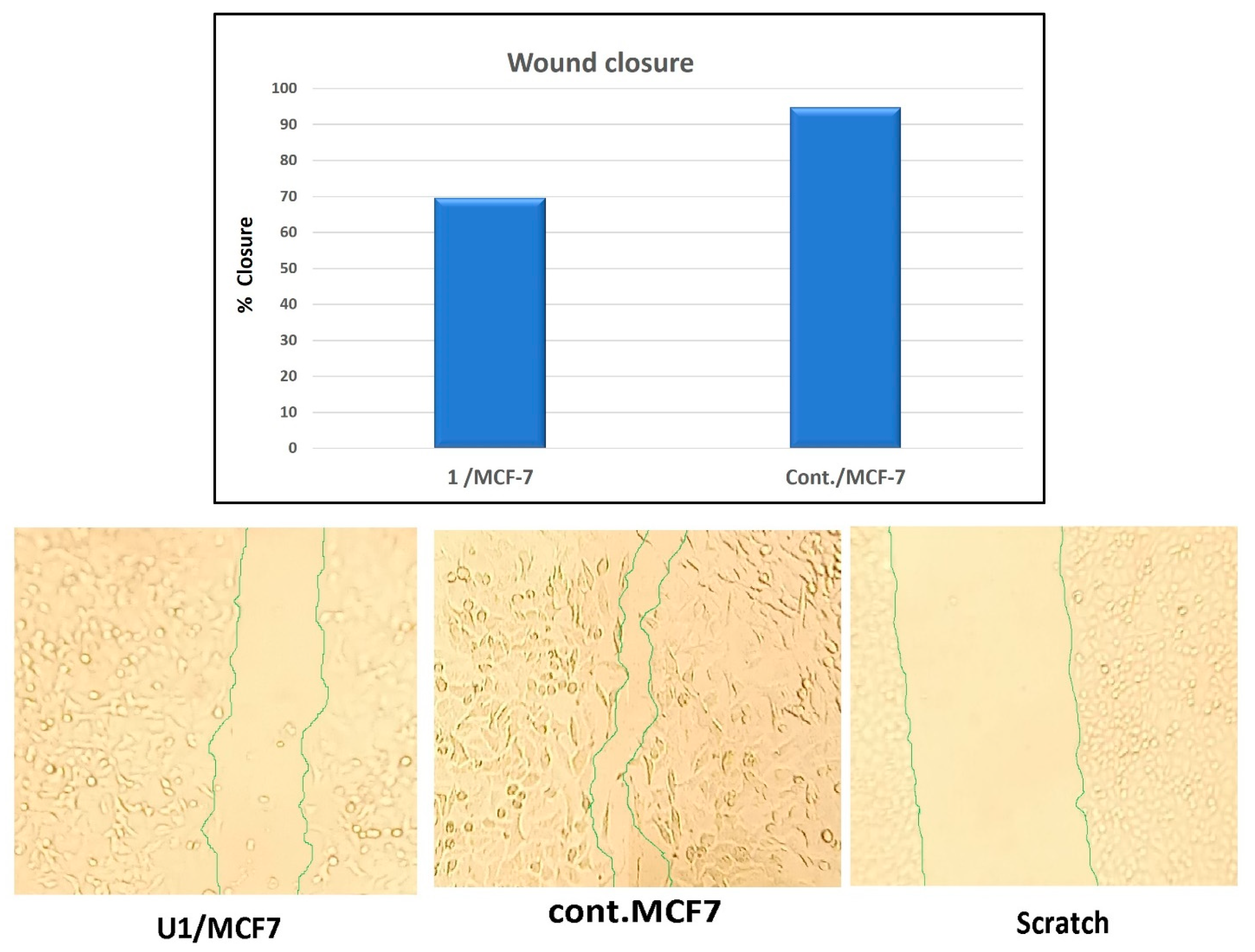 Pharmaceuticals 18 01472 g009 Pharmaceuticals 18 01472 g009