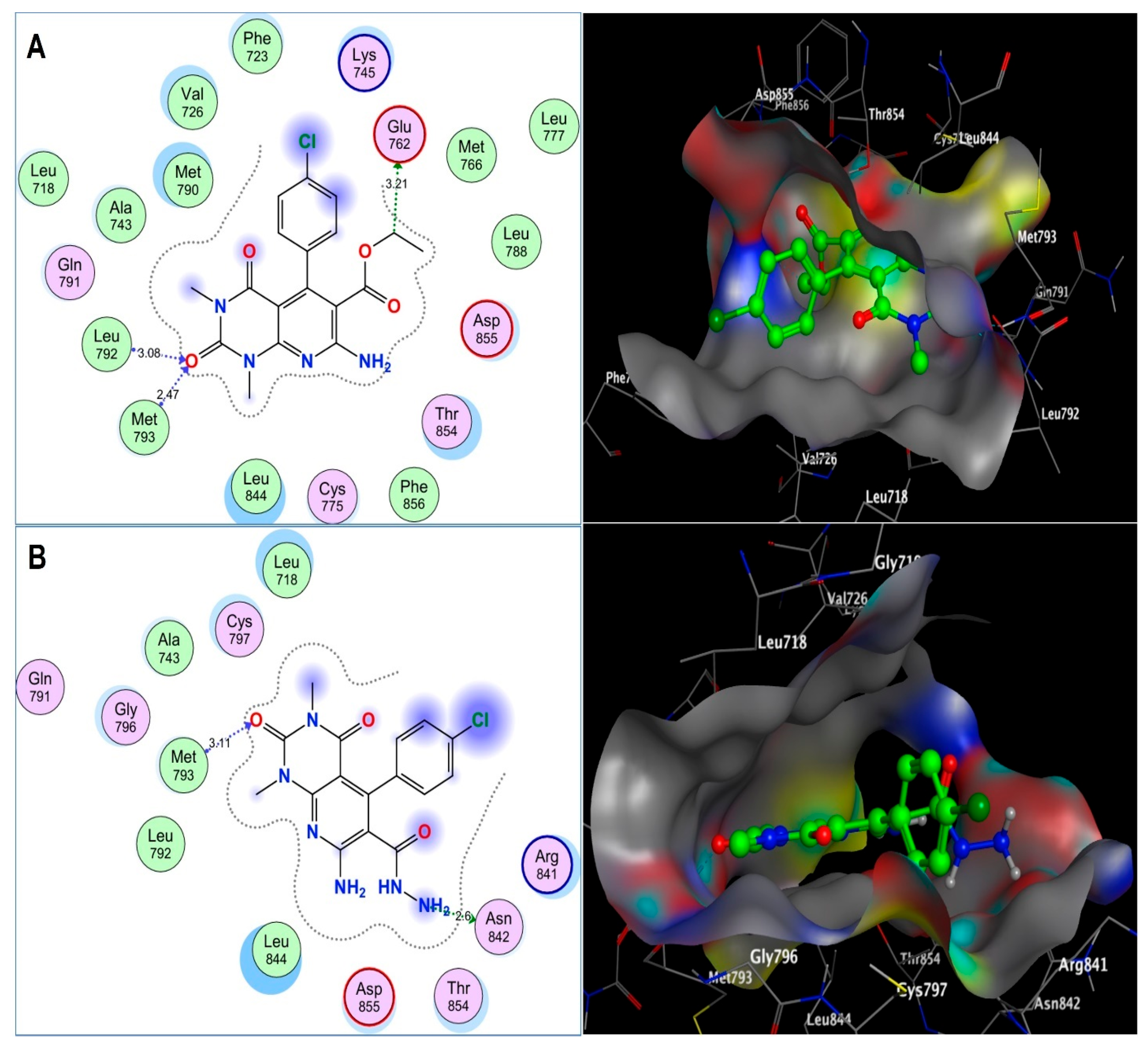 Pharmaceuticals 18 01472 g013 Pharmaceuticals 18 01472 g013