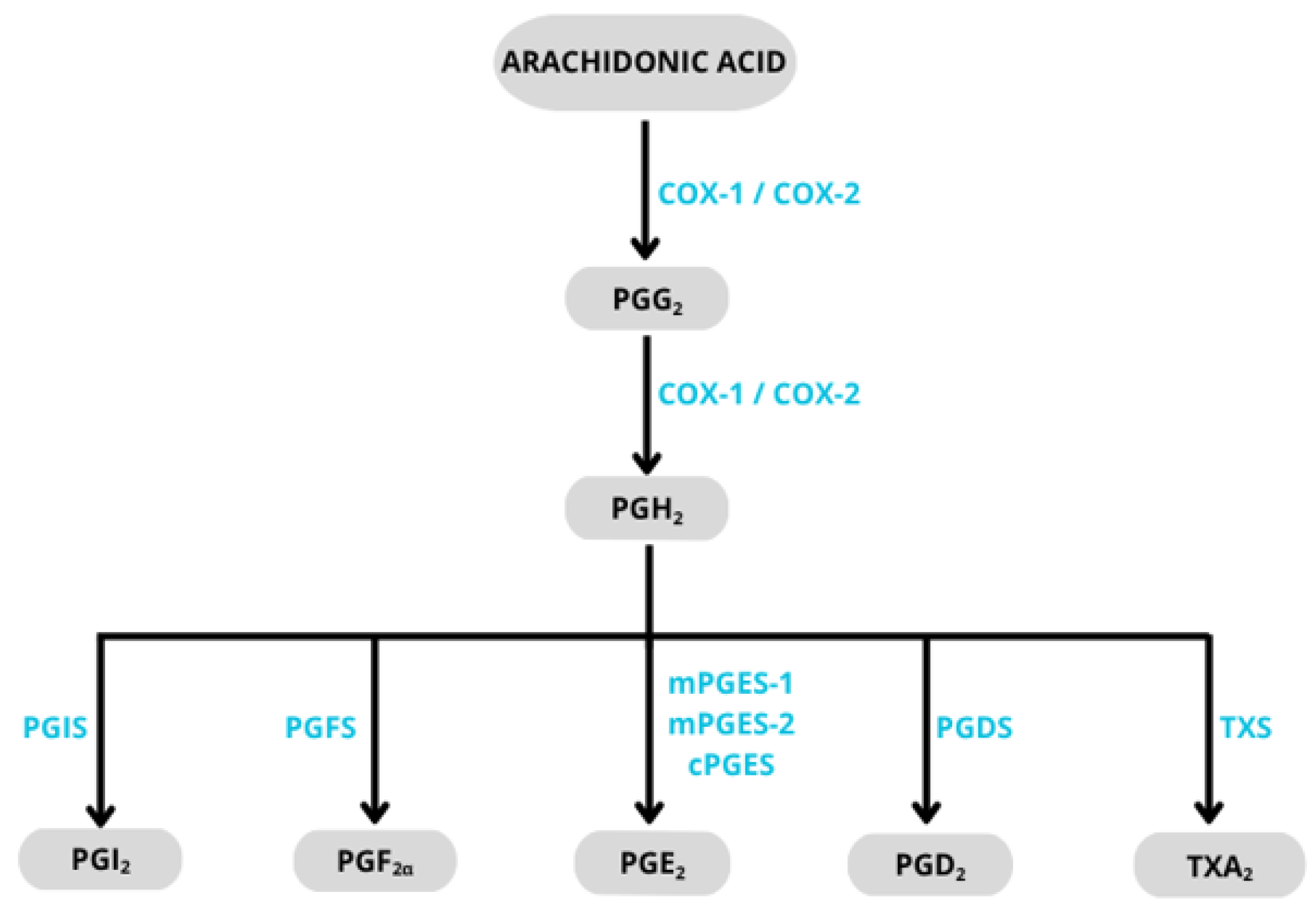 Pharmaceuticals 18 01484 sch001 Pharmaceuticals 18 01484 sch001
