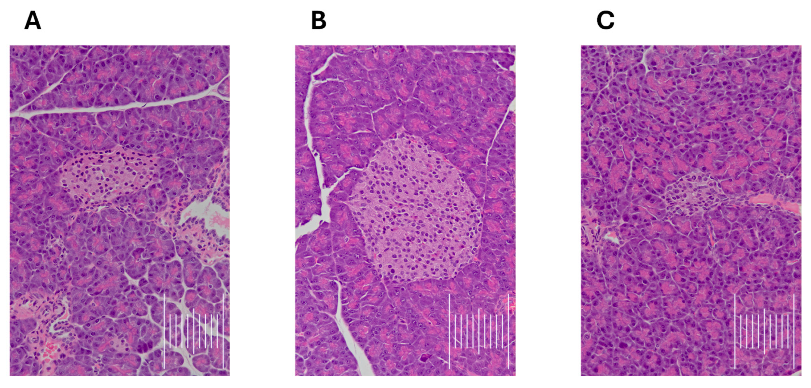 Pharmaceuticals 18 01485 g009 Pharmaceuticals 18 01485 g009