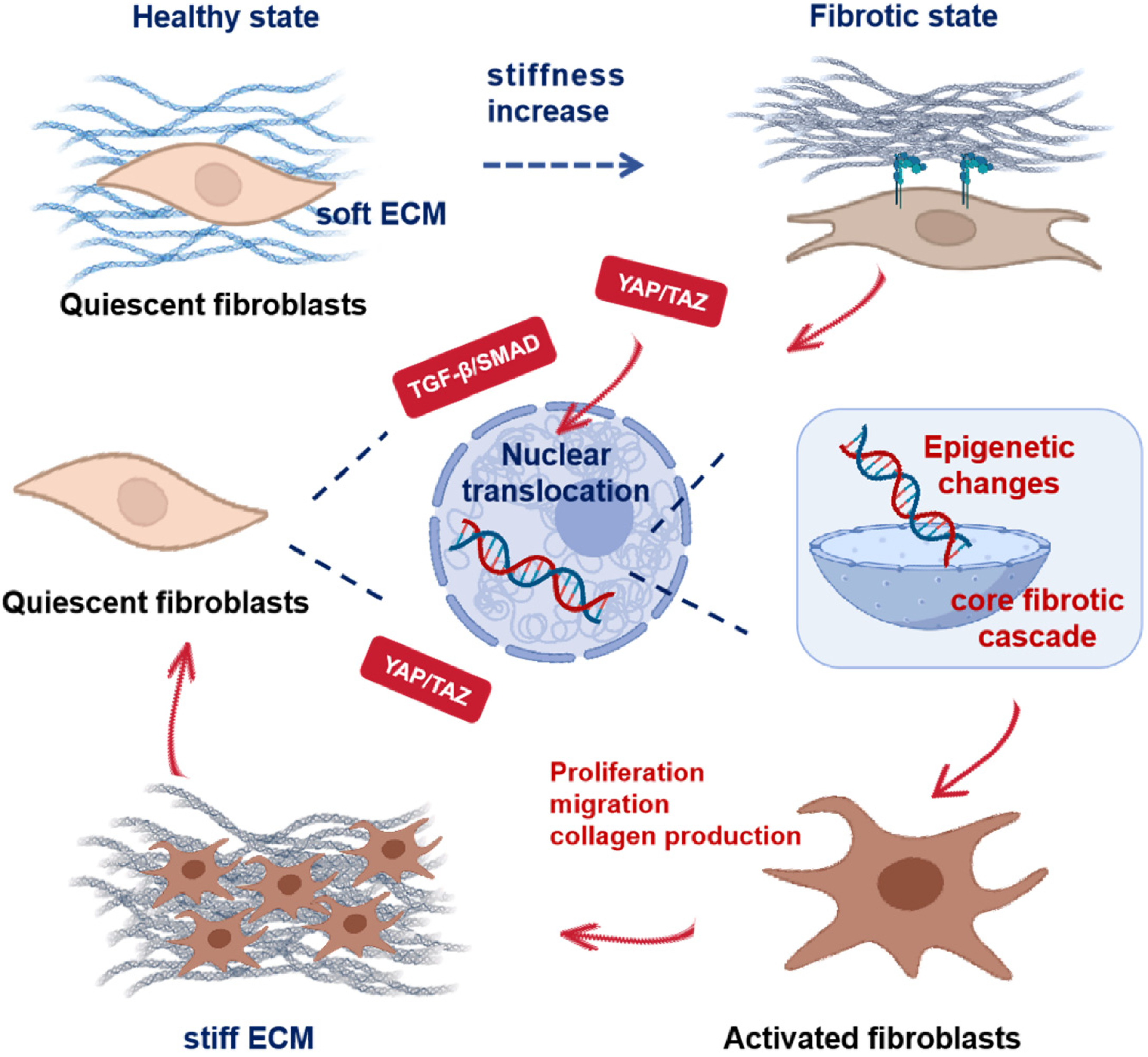 Pharmaceuticals 18 01487 g001