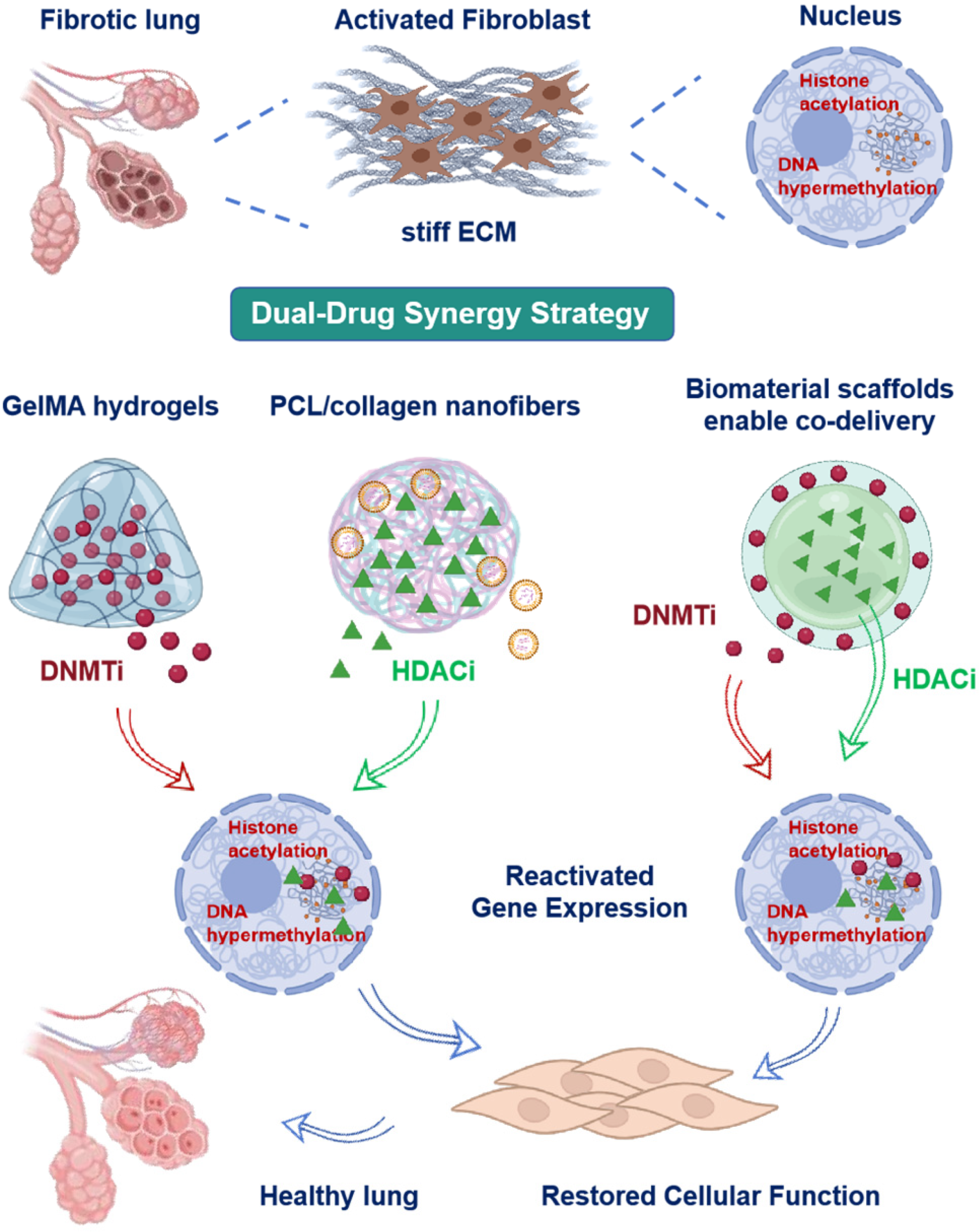 Pharmaceuticals 18 01487 g002